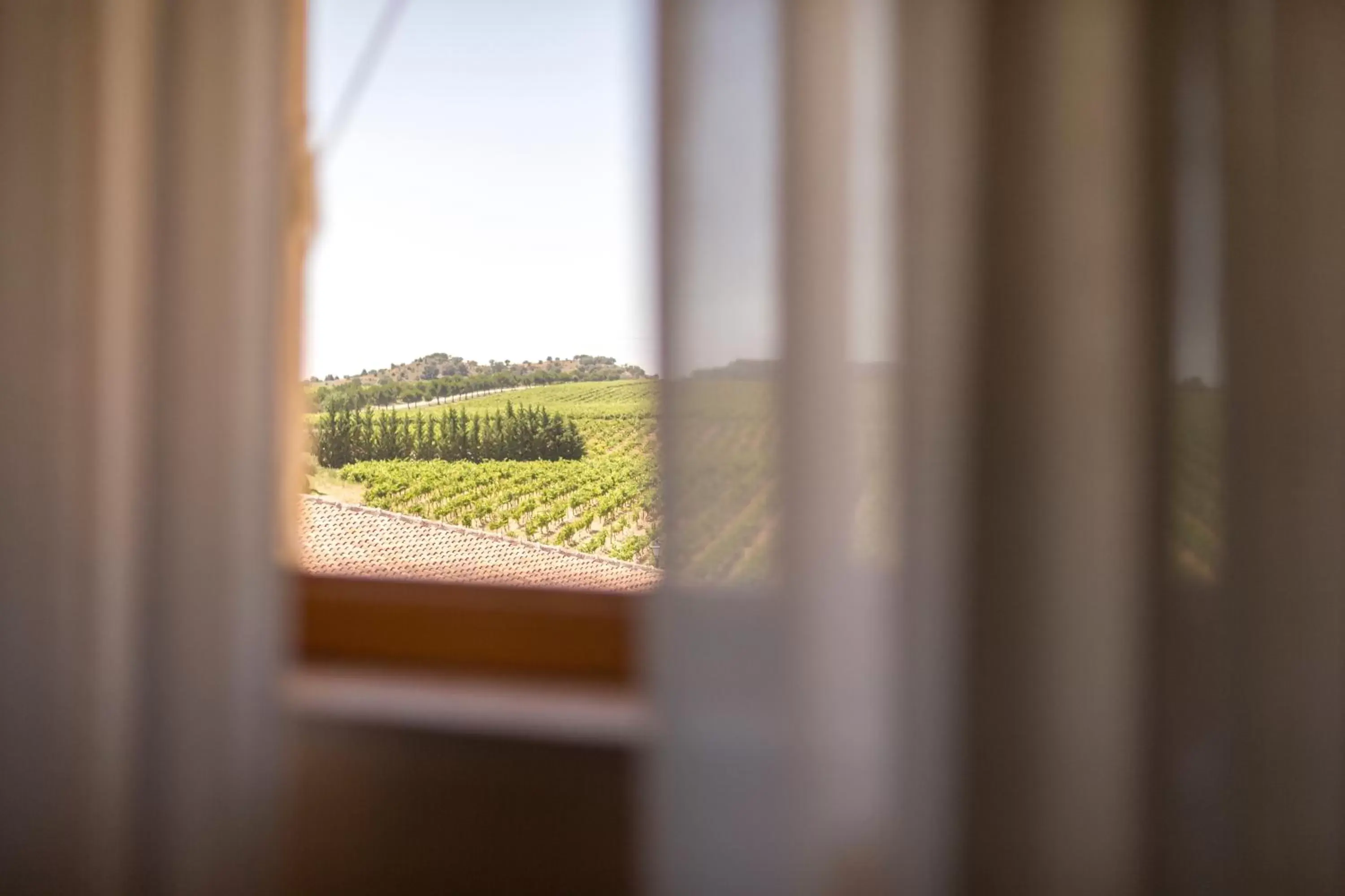 Landmark view in Hotel Torremilanos