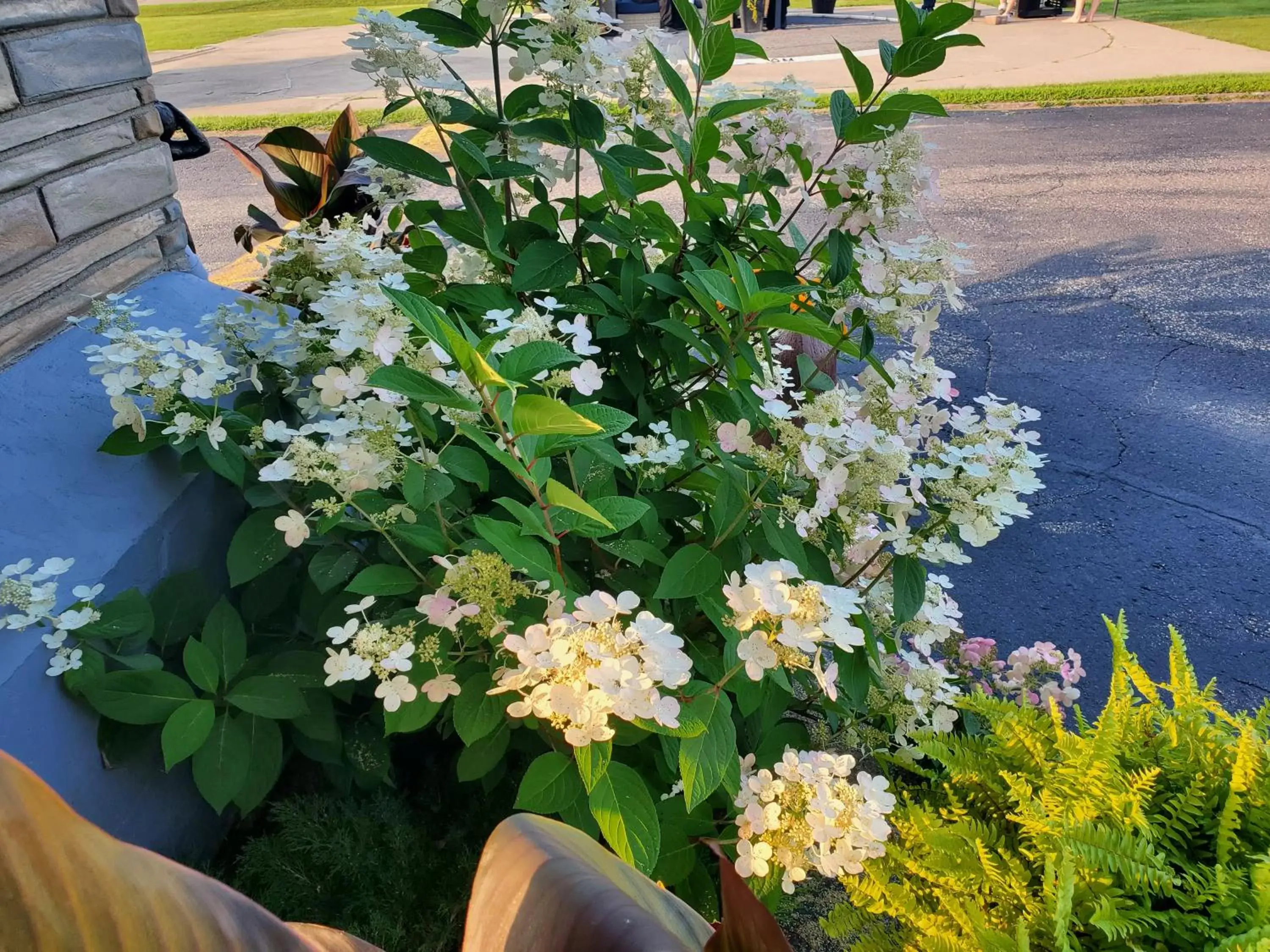 Natural landscape in Knights Inn Colonial Fireside Inn