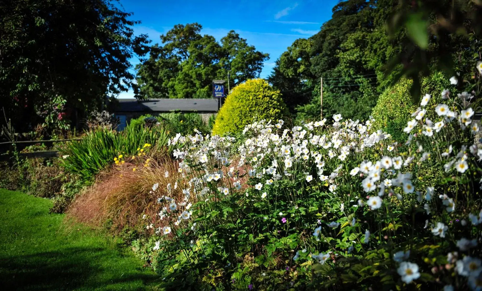 Garden in The Wyvill Arms