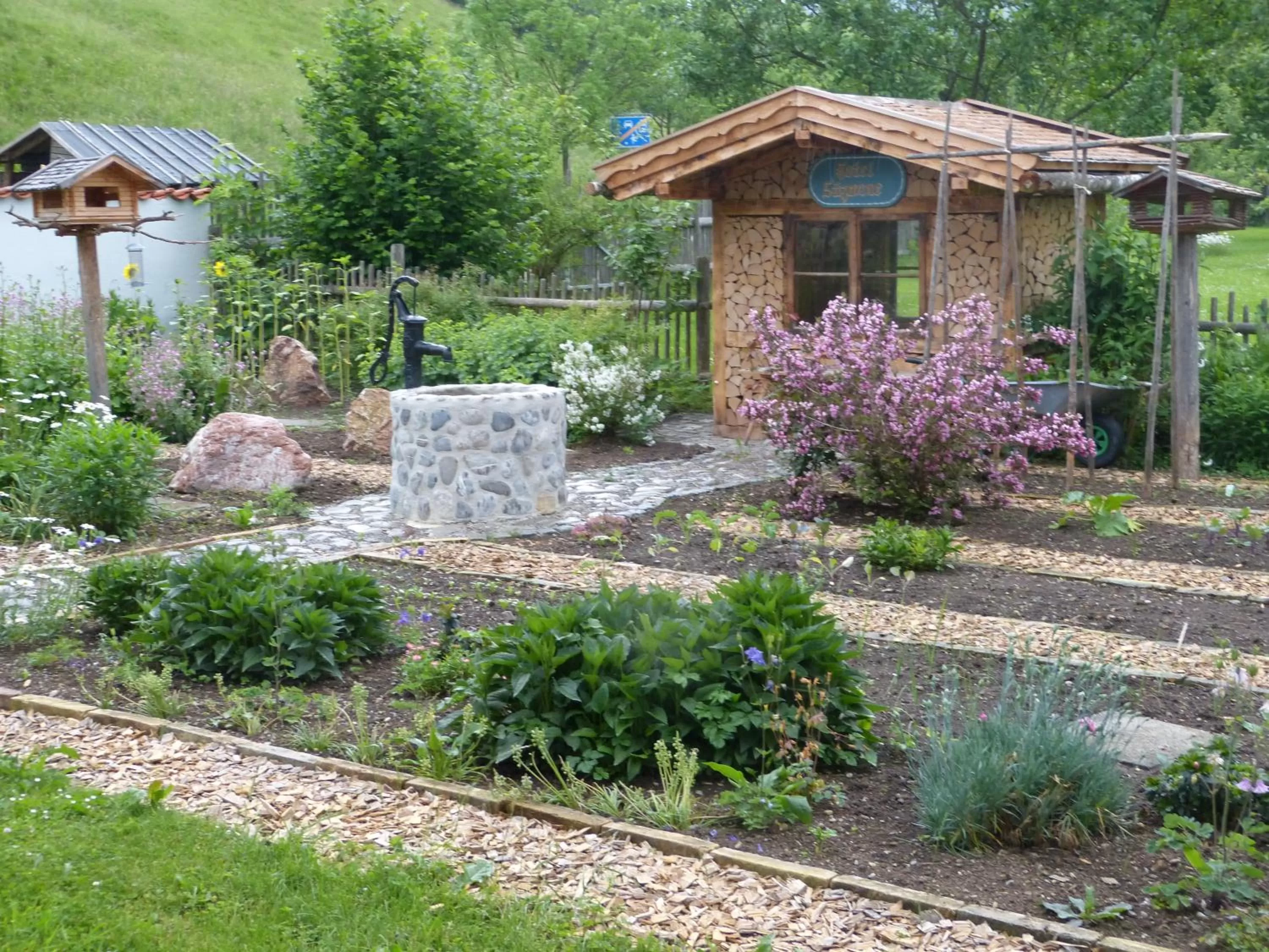 Garden in Suzanne's B&B & Gardens