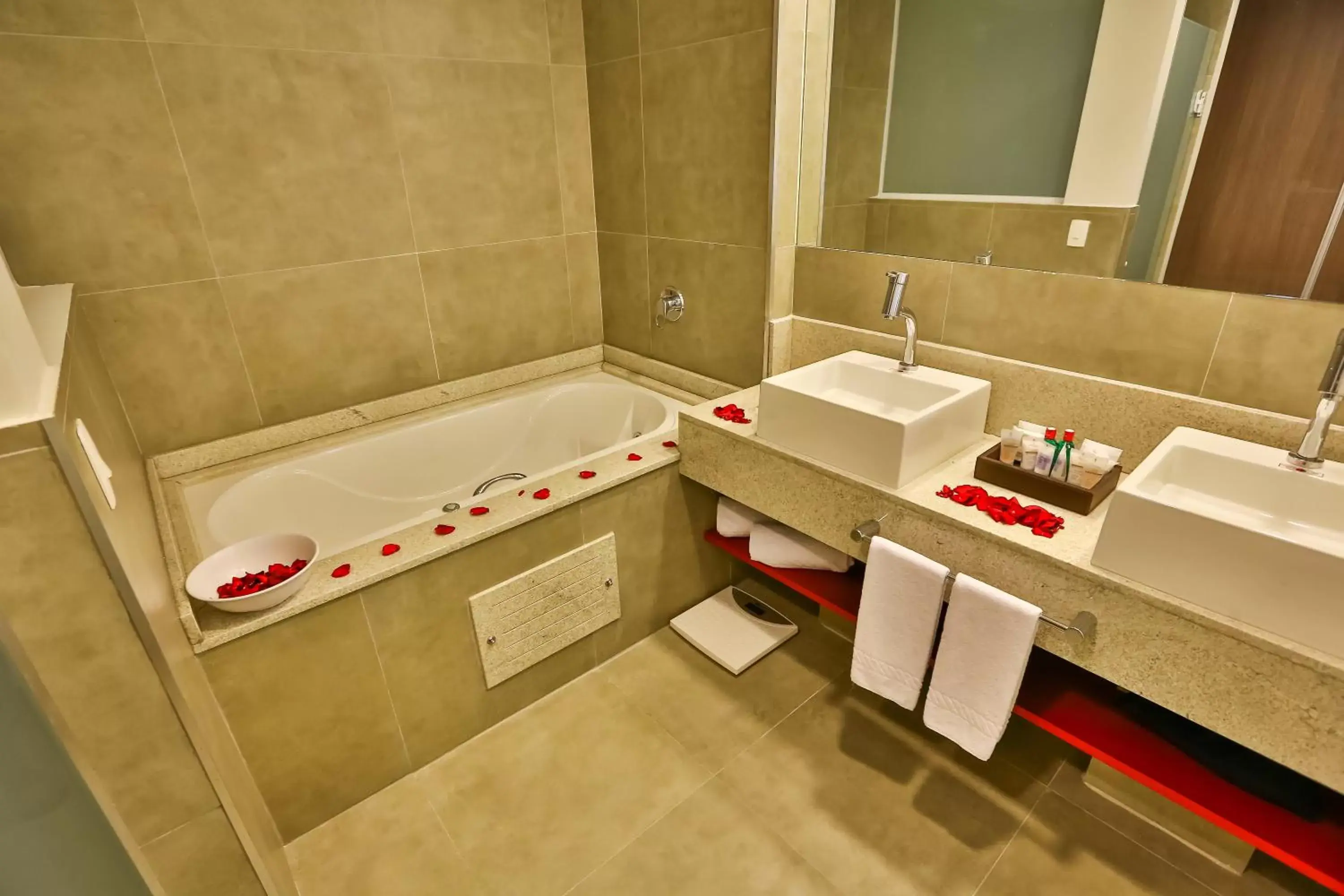 Hot Tub, Bathroom in Hilton Garden Inn Santo Andre
