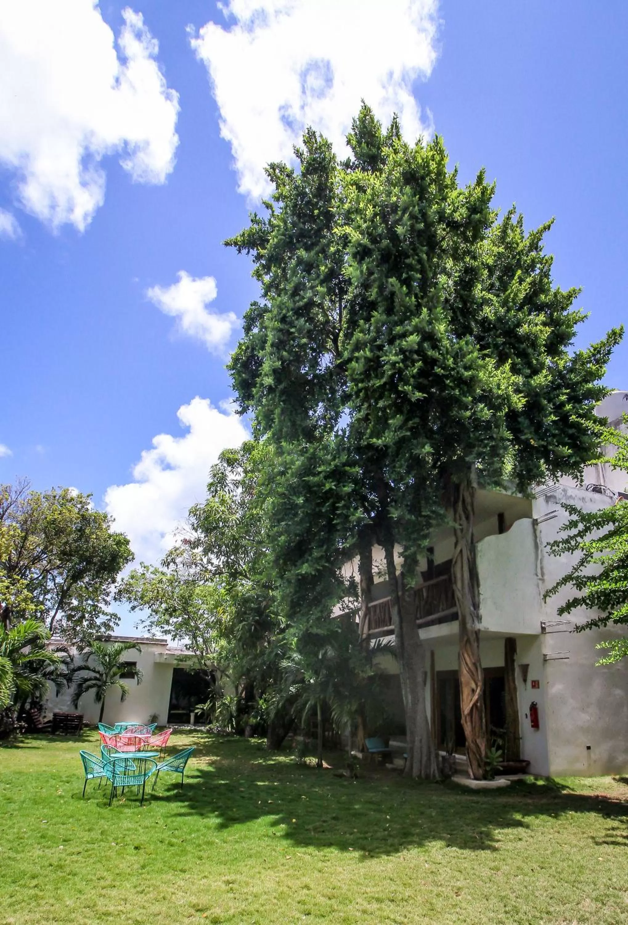 Garden in Corazon De Jade Tulum