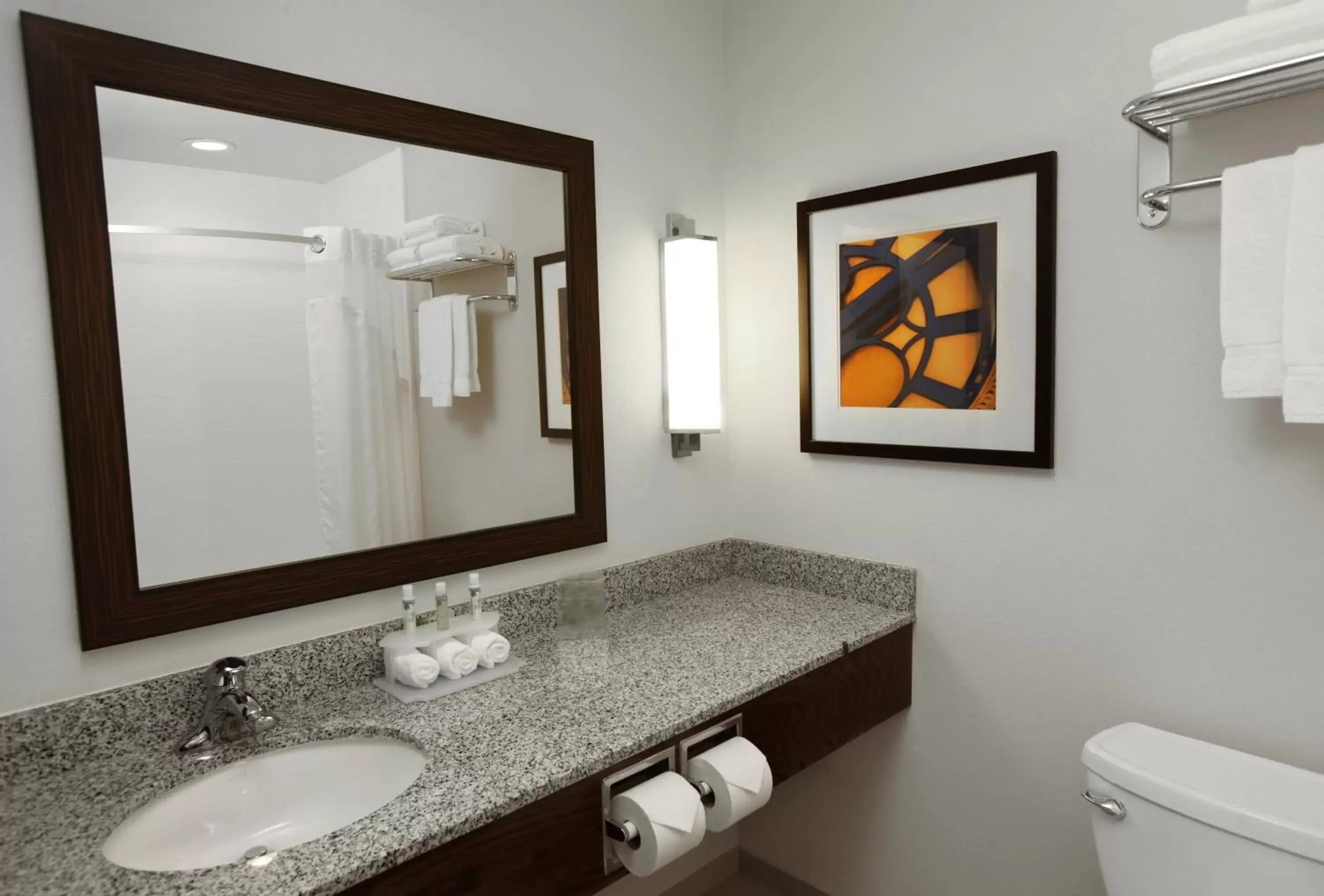 Photo of the whole room, Bathroom in Holiday Inn Express & Suites Omaha South Ralston Arena, an IHG Hotel