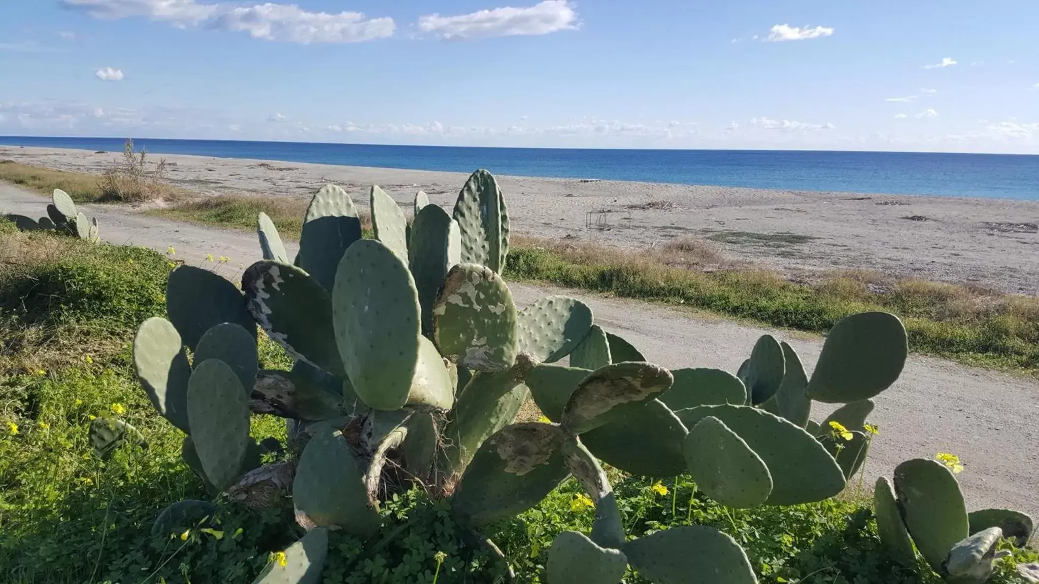 Beach in Magna Grecia B&B e Appartamenti