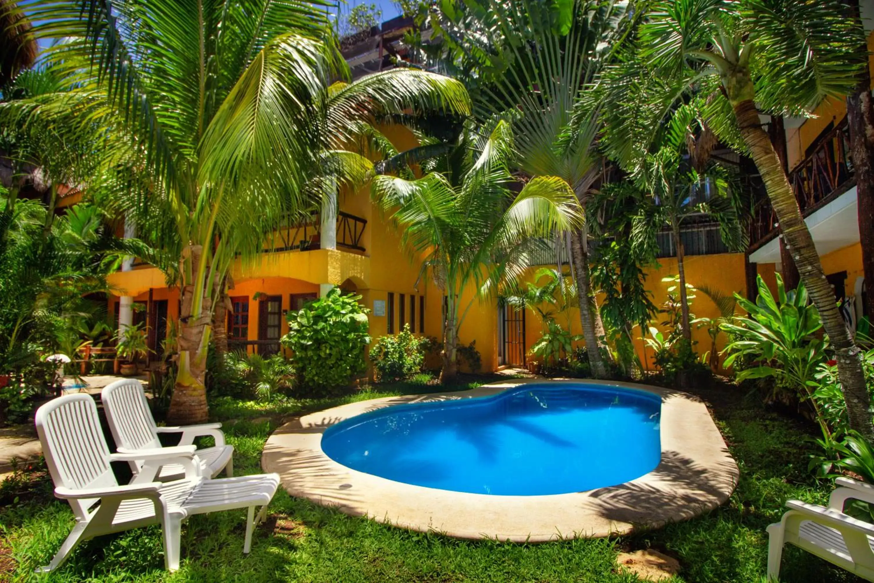 Swimming Pool in Hotel Bosque Caribe, 5th Av. zone