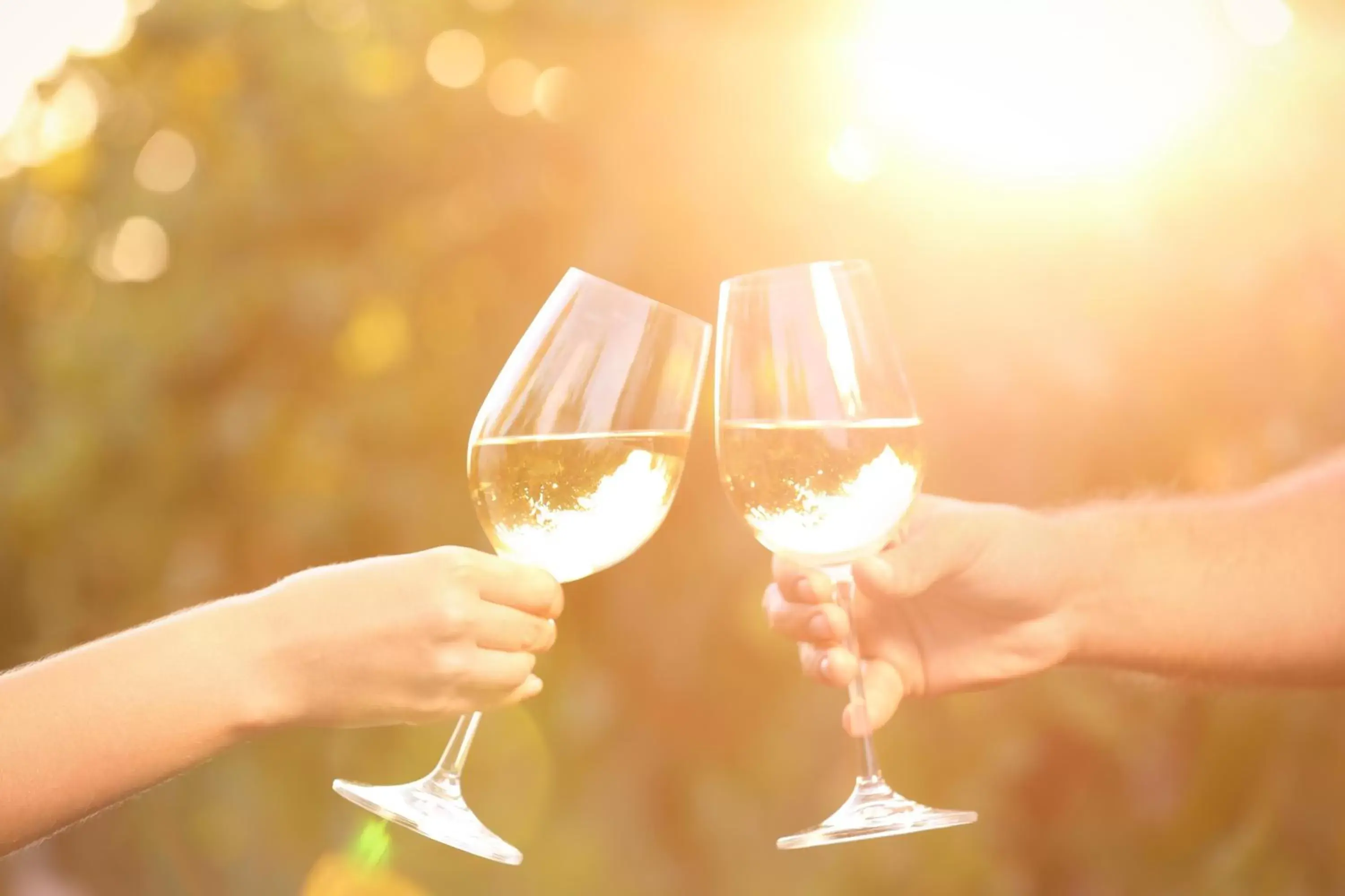 Restaurant/places to eat in Temecula Creek Inn Restaurant/places to eat in Temecula Creek Inn