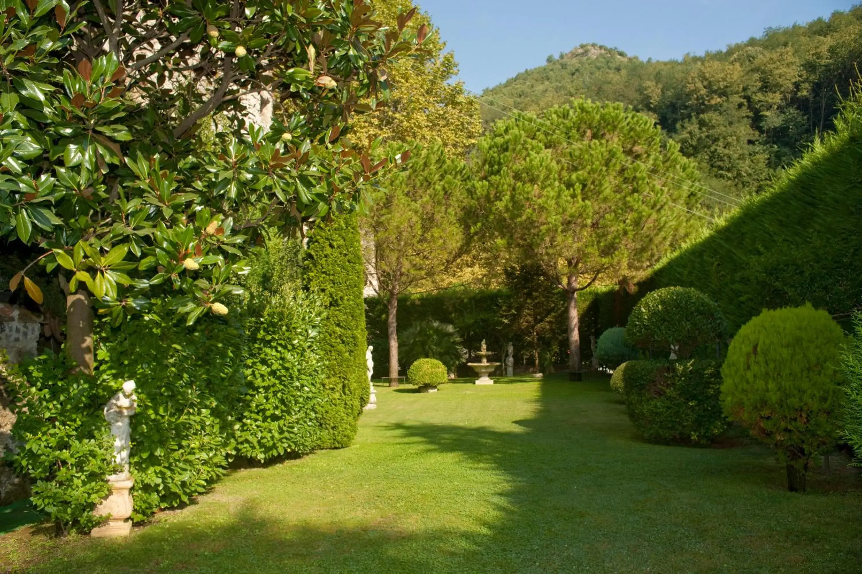 Garden in Hotel Scapolatiello