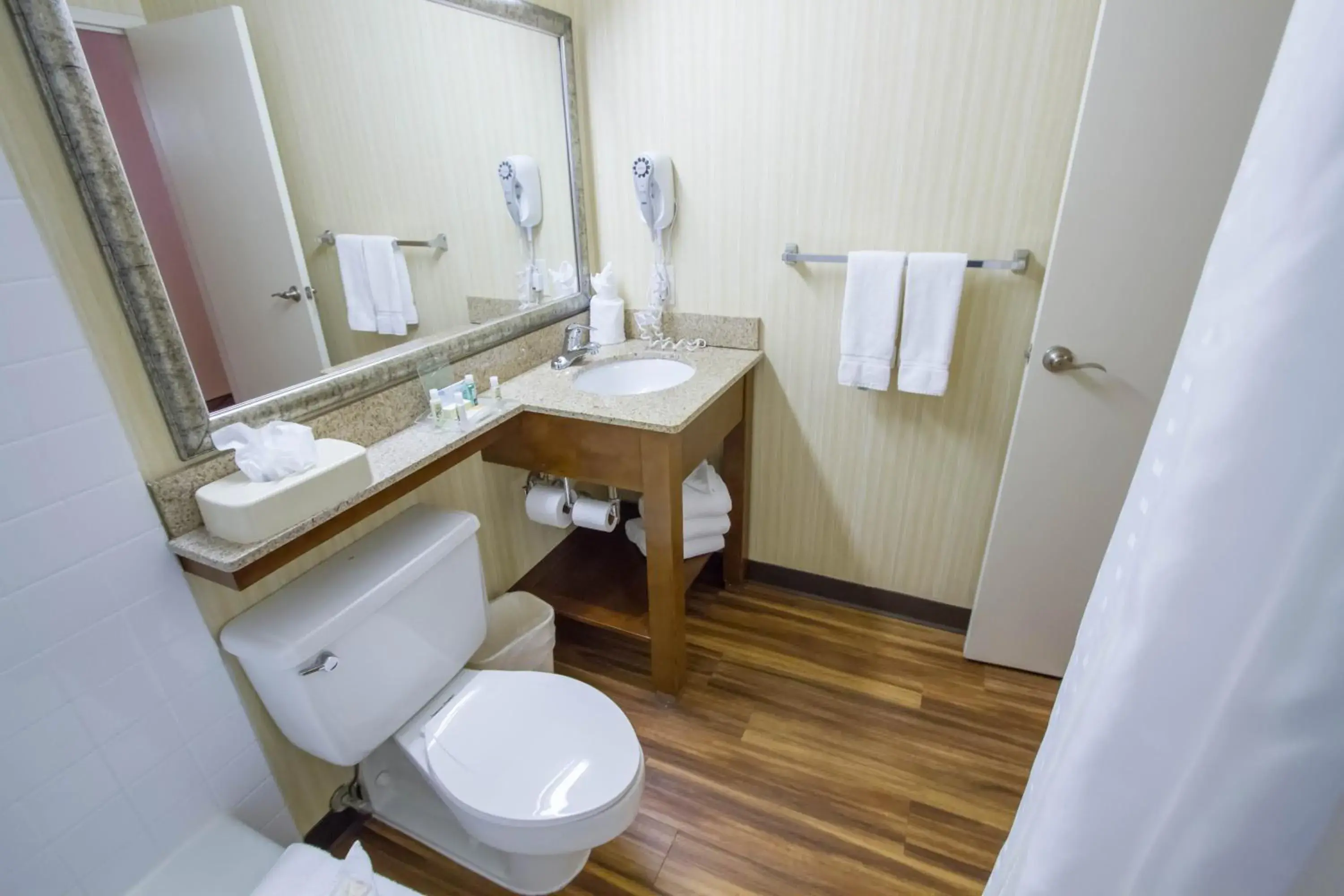 Photo of the whole room, Bathroom in Holiday Inn Bloomington Airport South- Mall Area