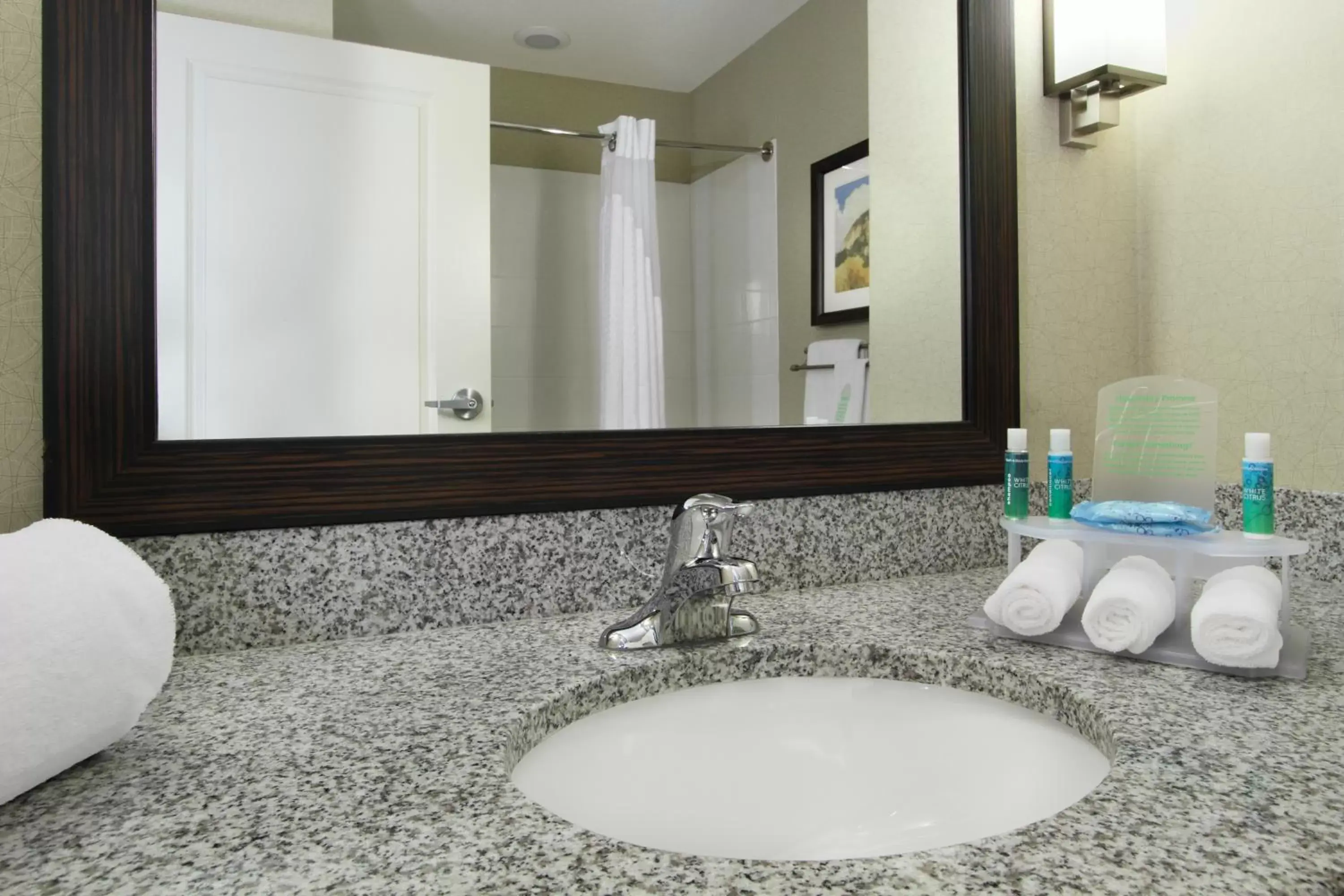 Bathroom in Holiday Inn Express - Colorado Springs - First & Main, an IHG Hotel