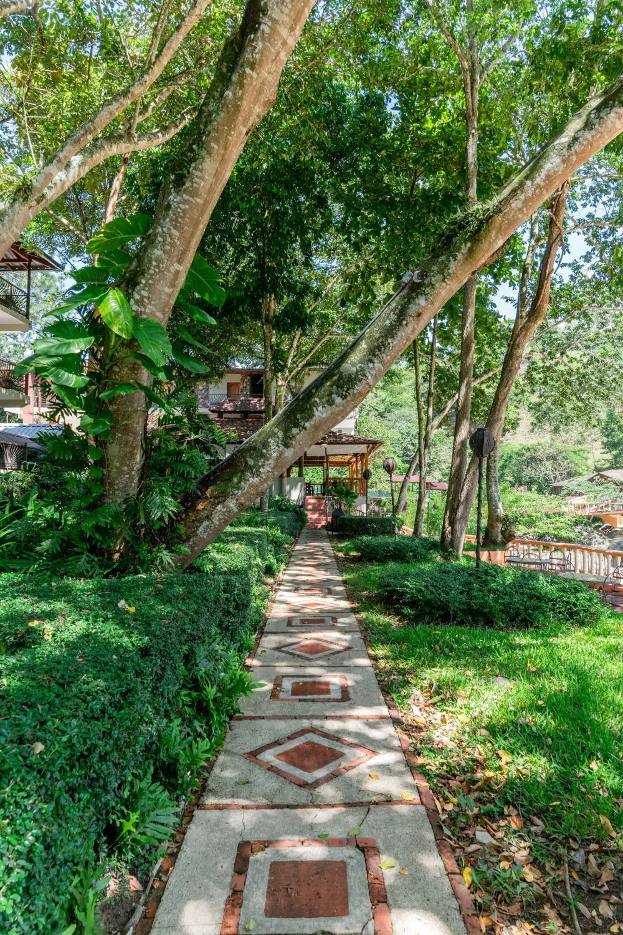 Natural landscape in Hotel Gran Jimenoa