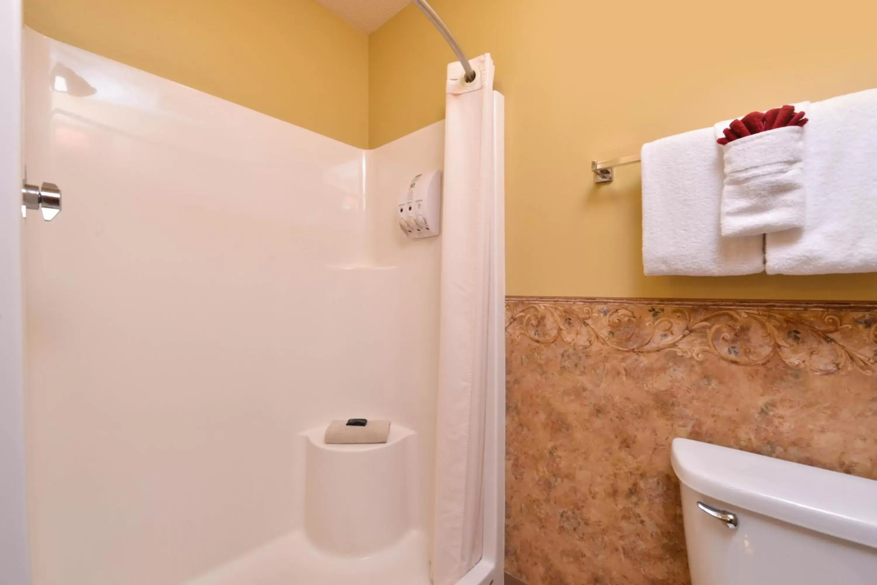 Bathroom in Country Hearth Inn & Suites Edwardsville