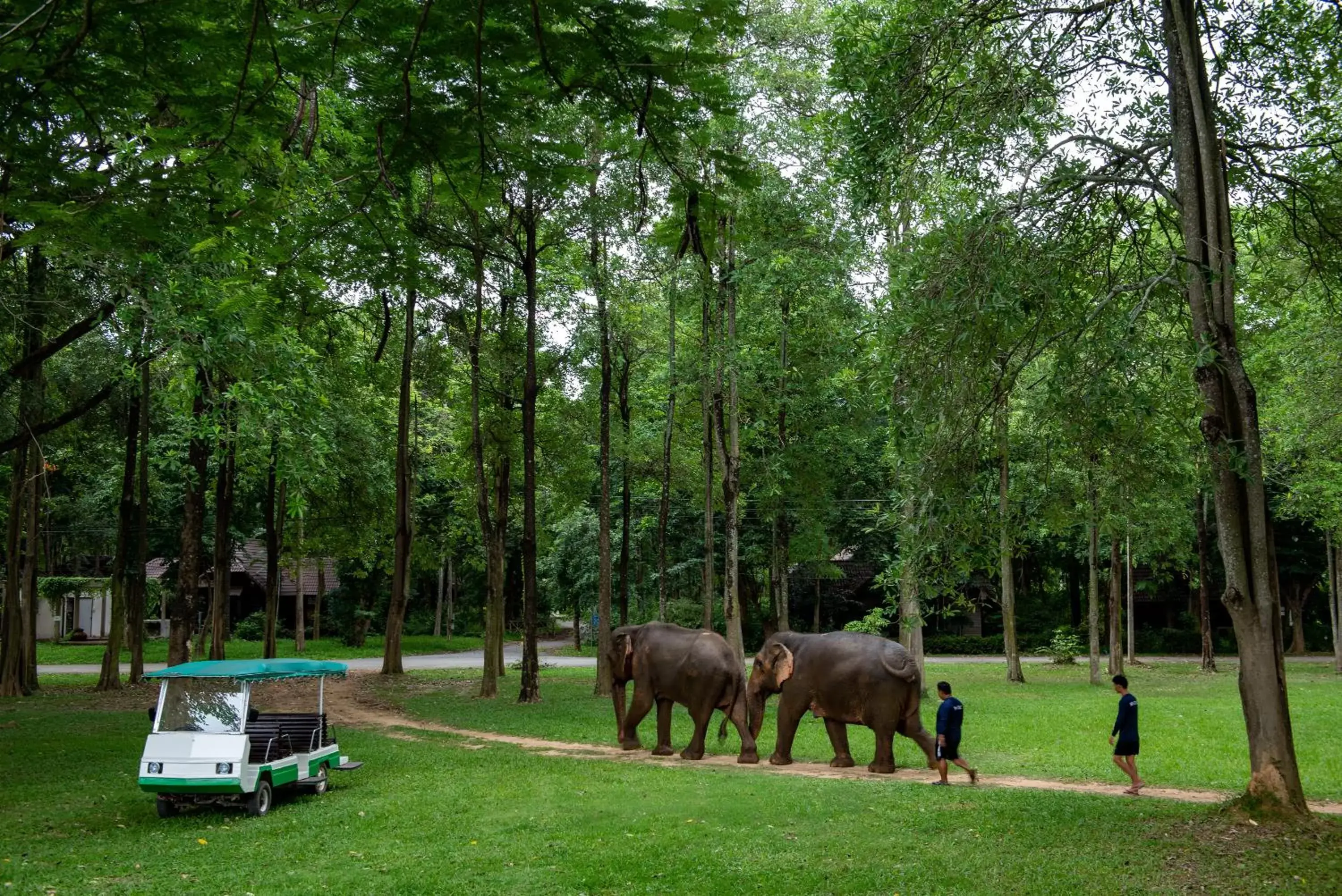 Activities, Other Animals in The Legacy River Kwai Resort