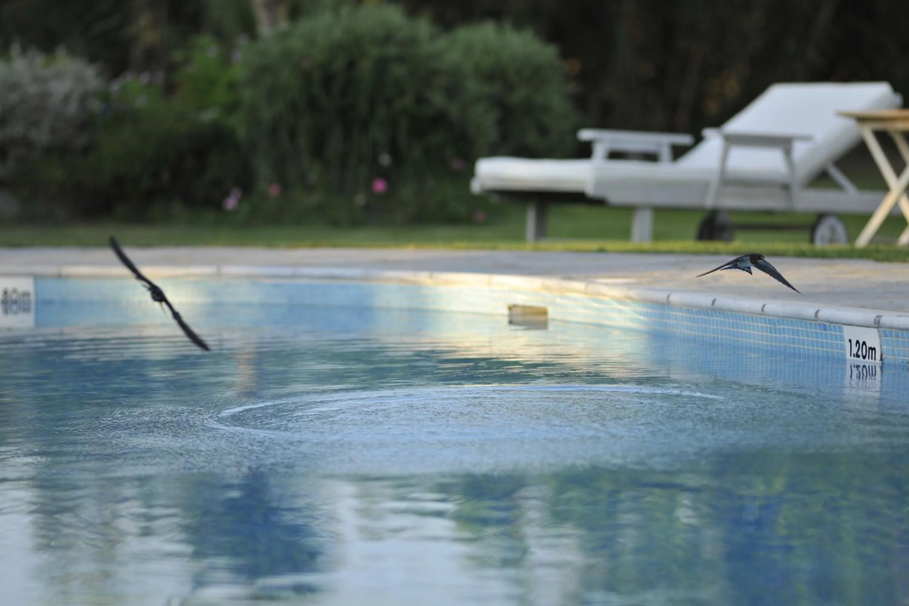 Massage in Ammos Naxos Exclusive Apartments & Studios