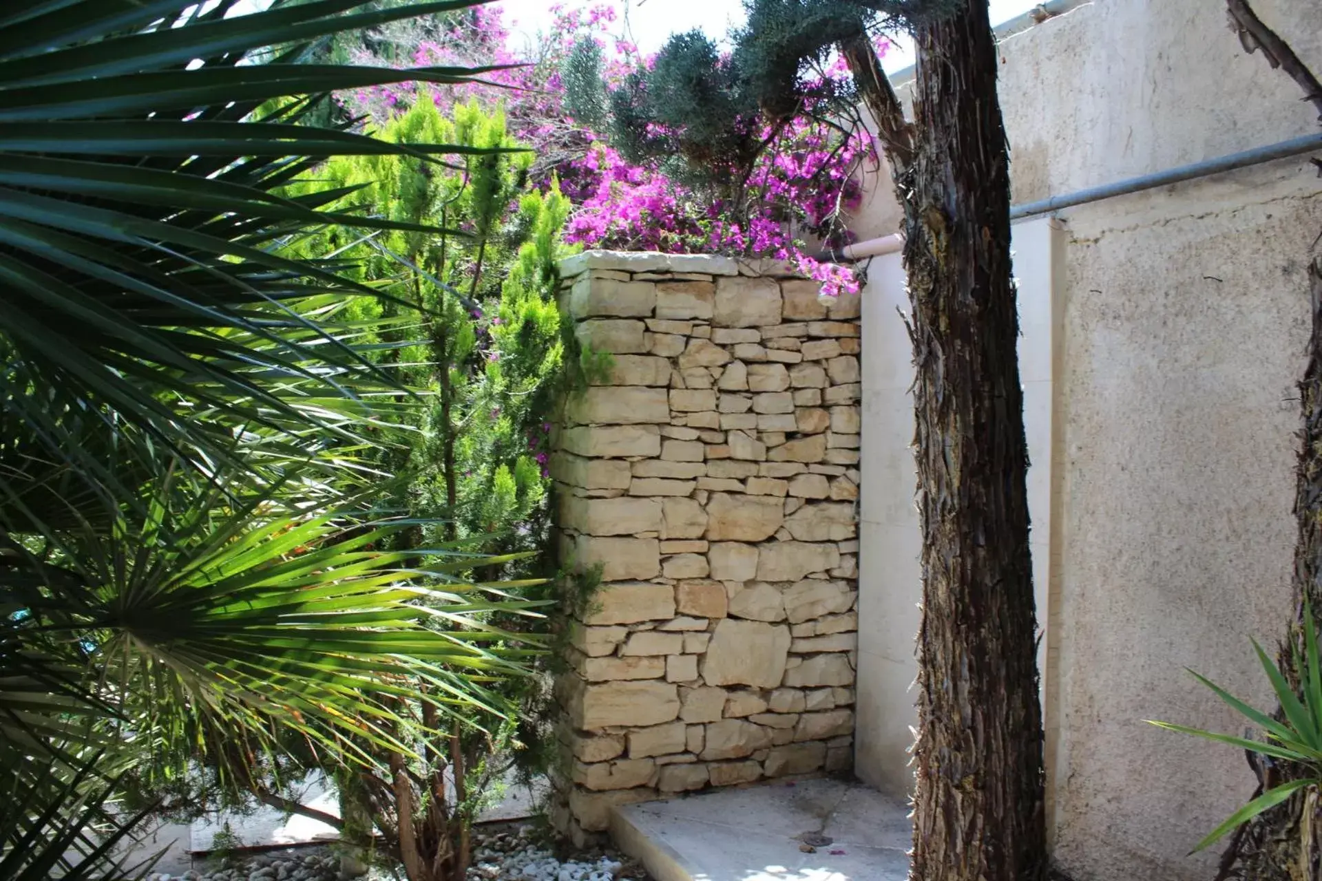 Garden in B&B Apulia Time