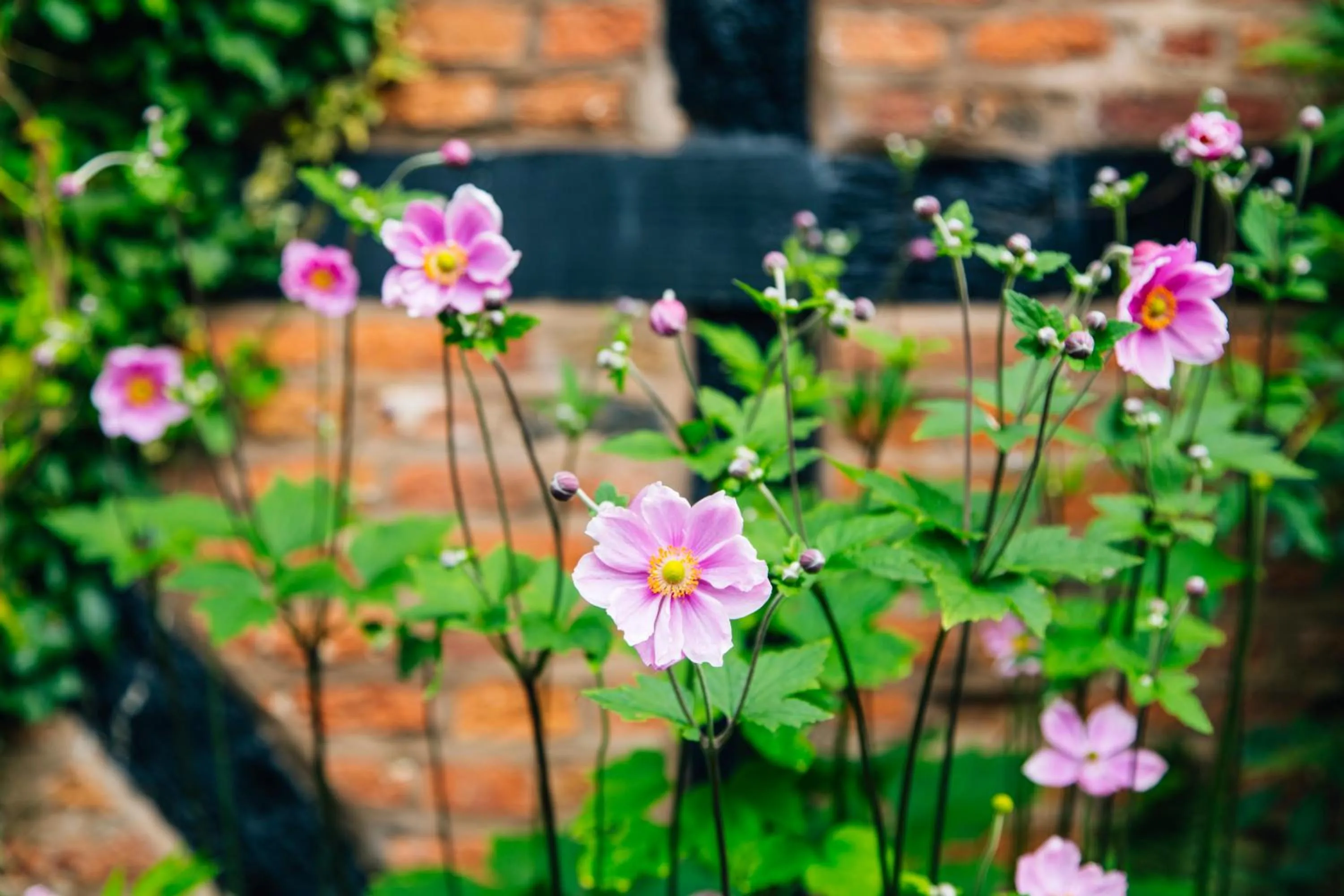 Decorative detail in Old Rectory House, Redditch