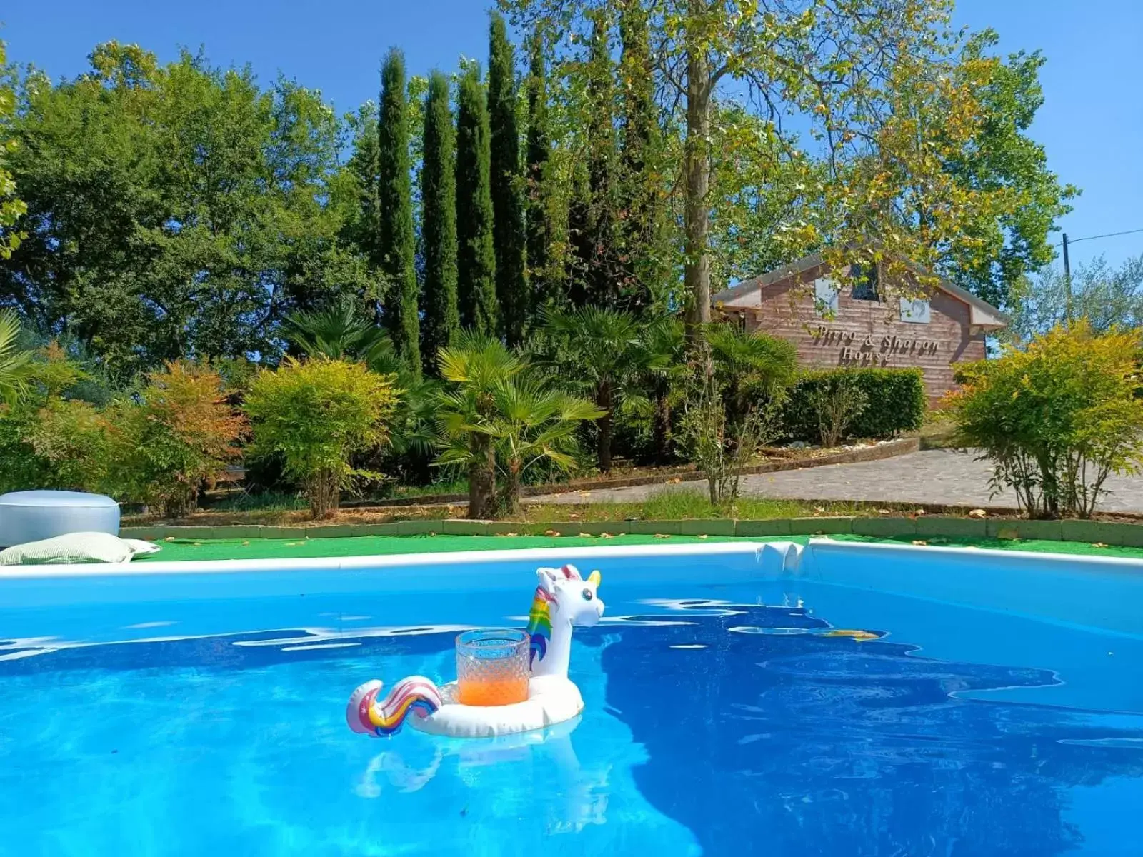 Garden, Swimming Pool in Pirro & Sharon House