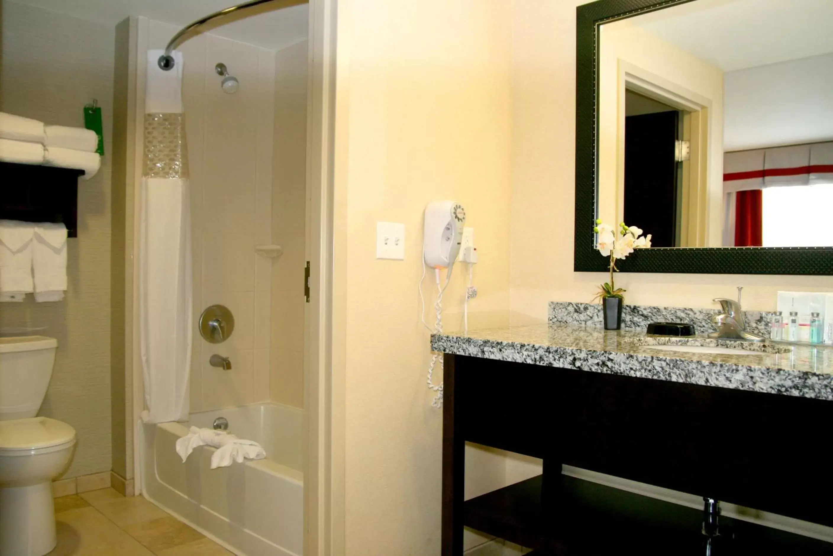 Bathroom in Hampton Inn & Suites Salt Lake City-University/Foothill Drive