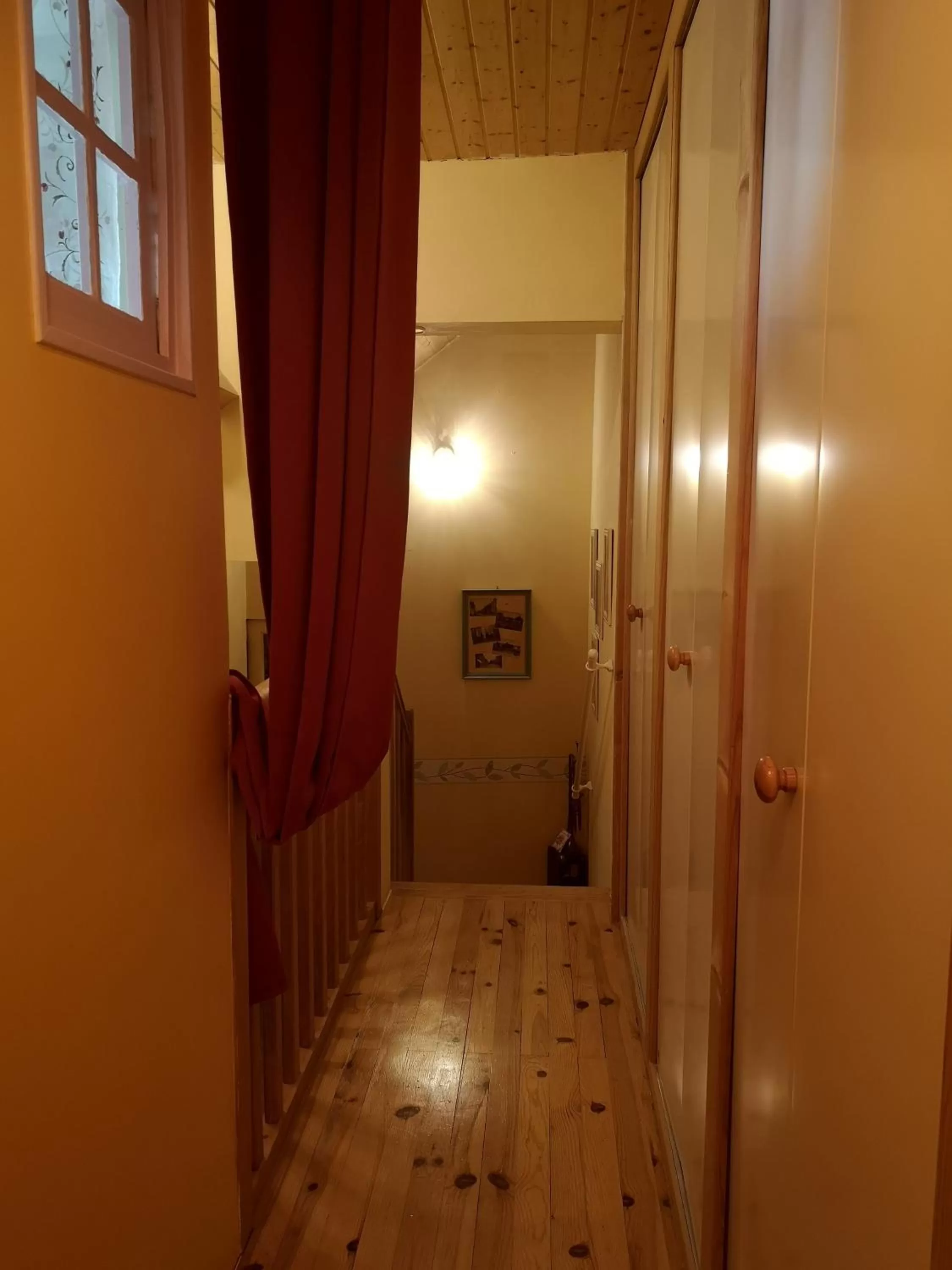 Les Eléphants bleus