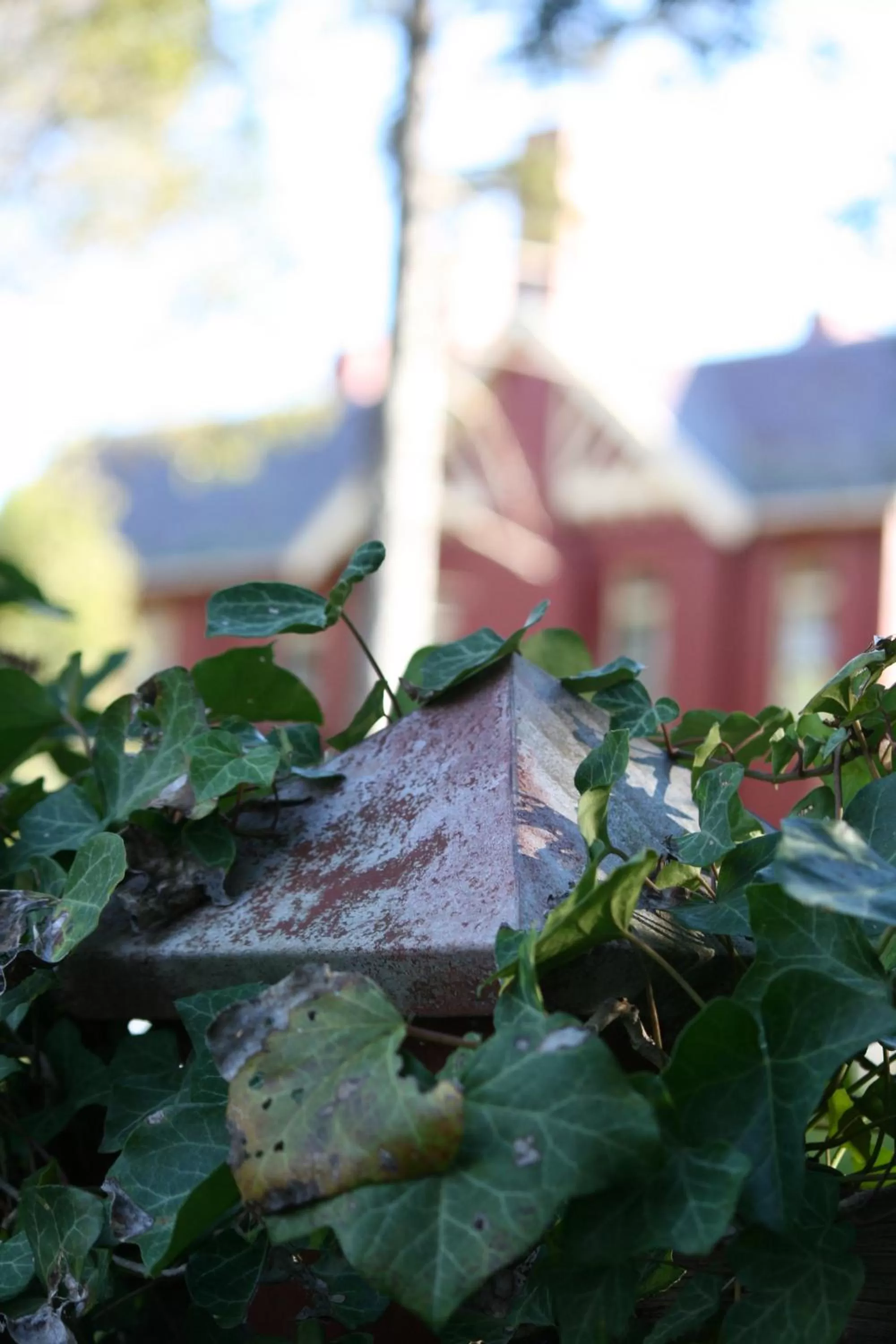Garden view in Pirralilla Estate Adelaide Hills