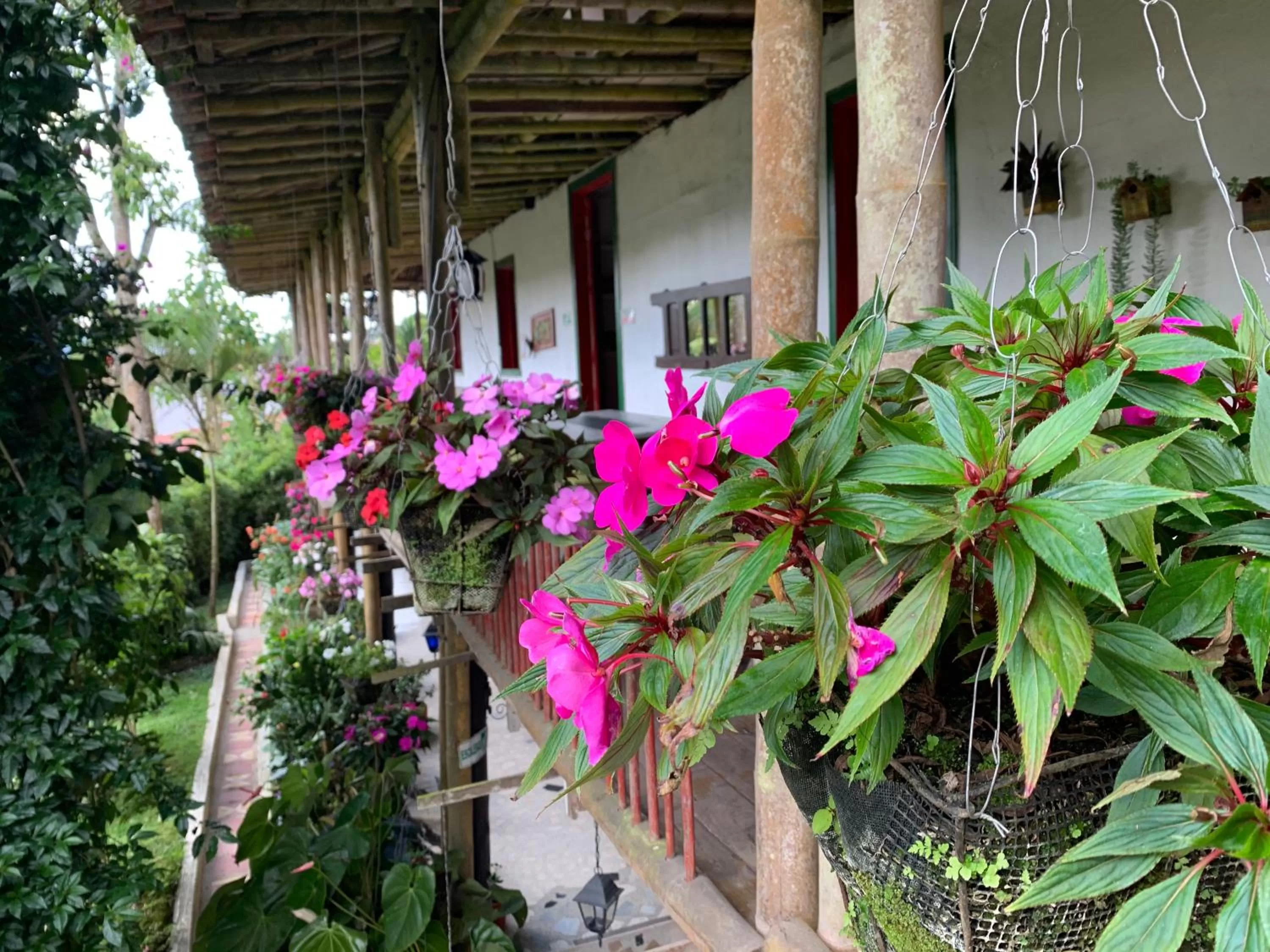 Garden view in Hotel Vísperas