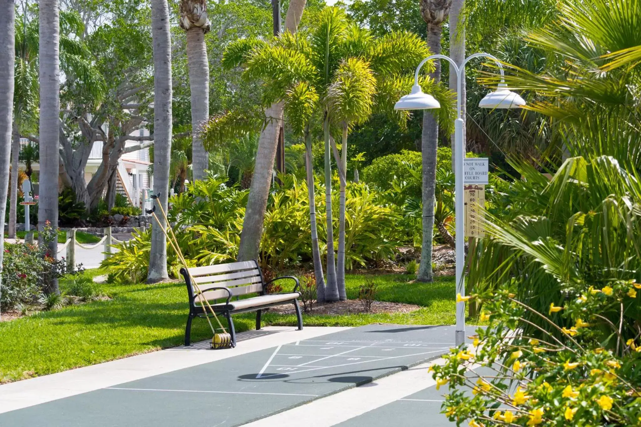 Natural landscape, Garden in Tropical Beach Resorts - Sarasota