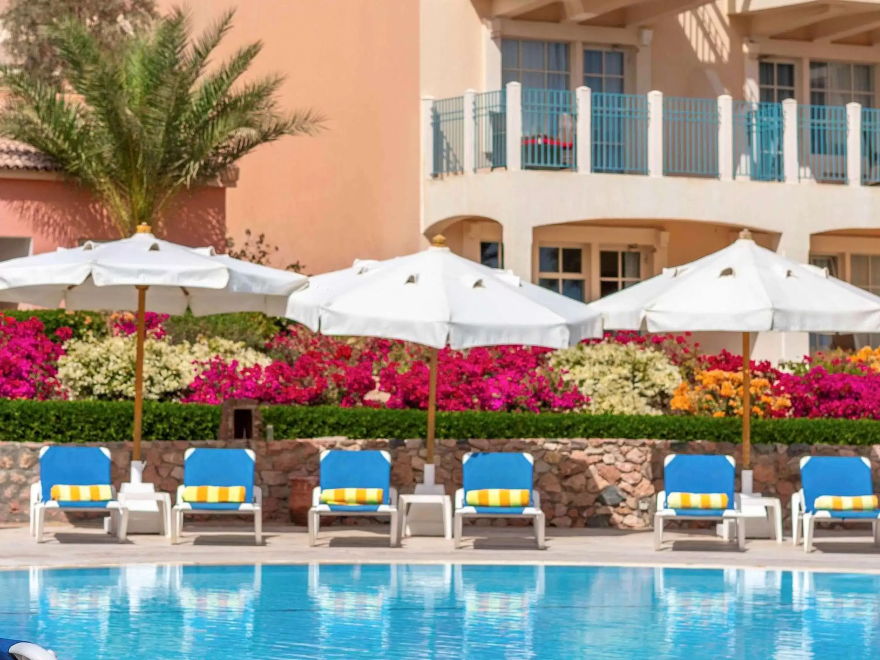 Activities, Swimming Pool in Movenpick Resort & Spa El Gouna