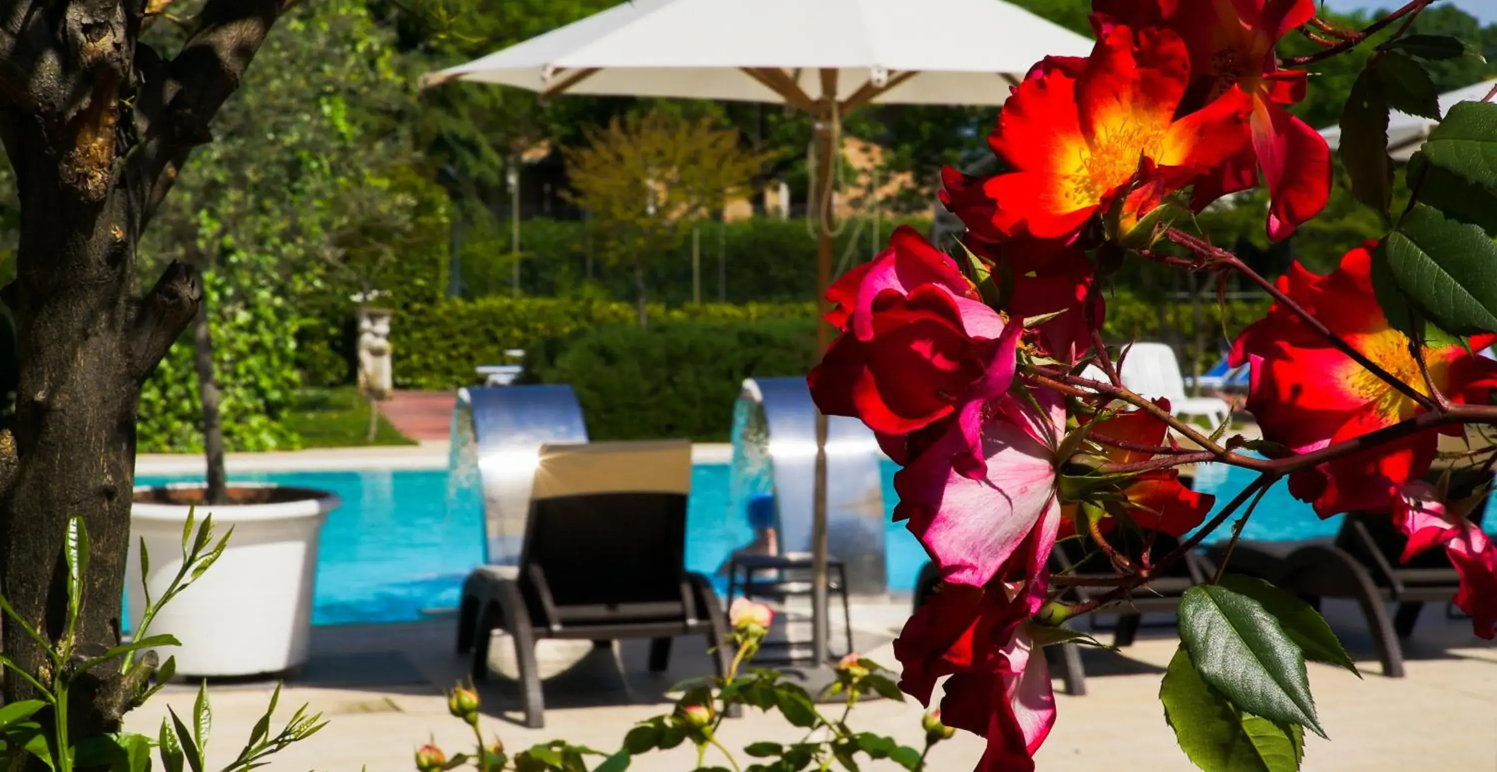 Garden, Swimming Pool in Bellavista Terme Resort & Spa