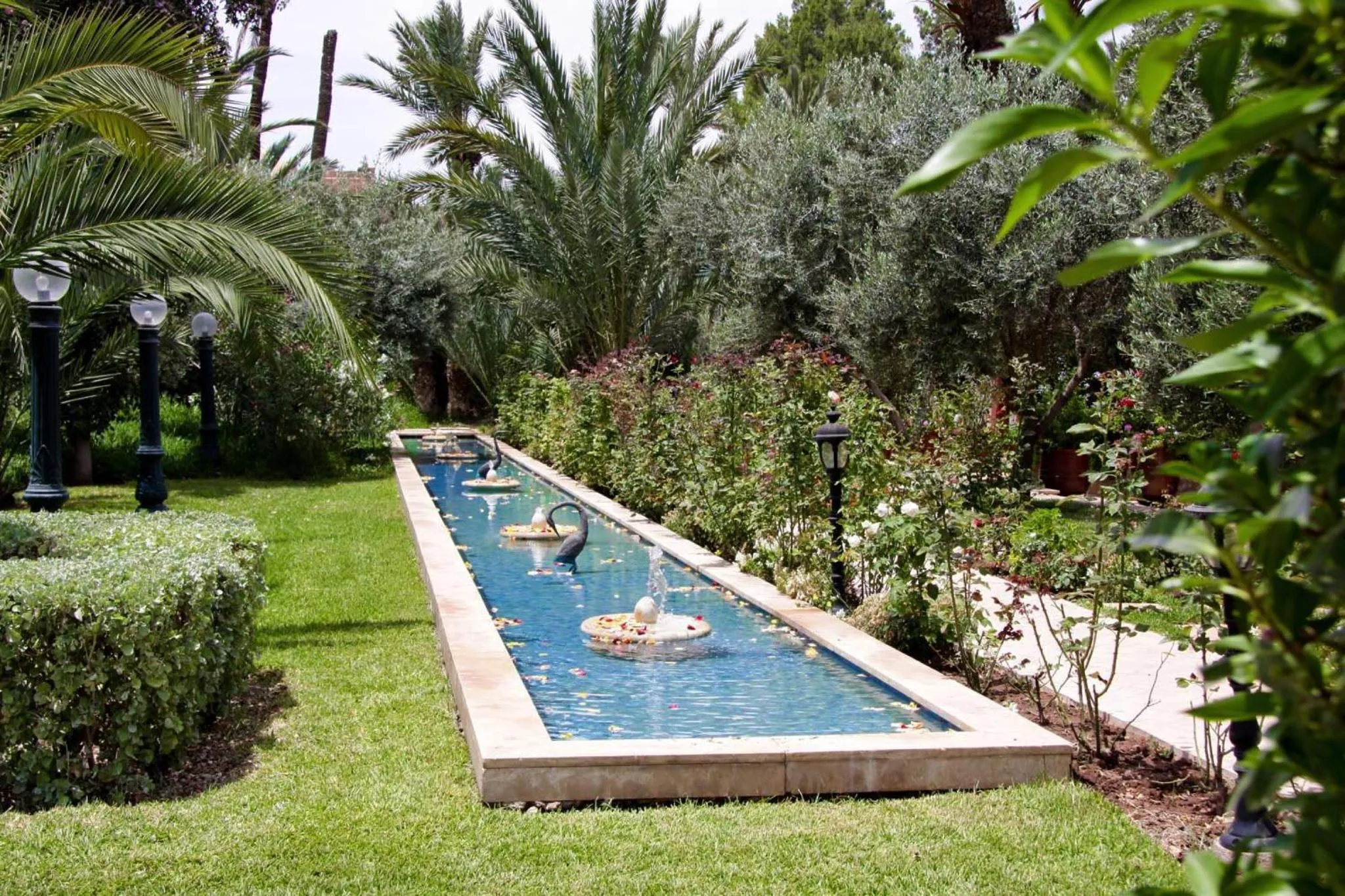 Garden in Palais Mehdi