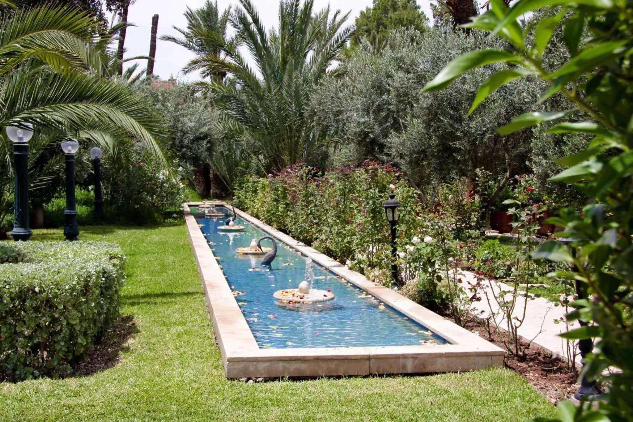 Garden, Pool View in Palais Mehdi