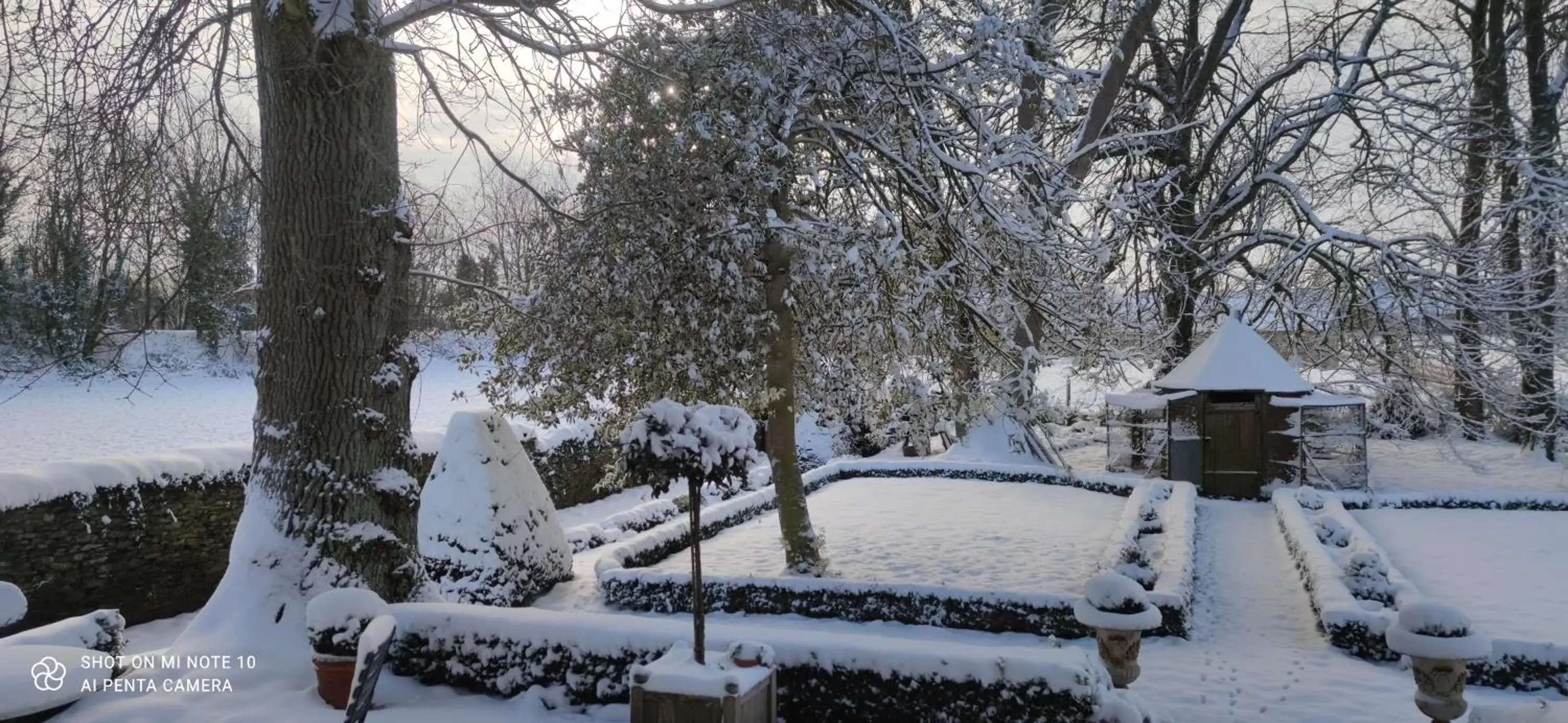 Garden, Winter in Le Manoir de la Bigotière