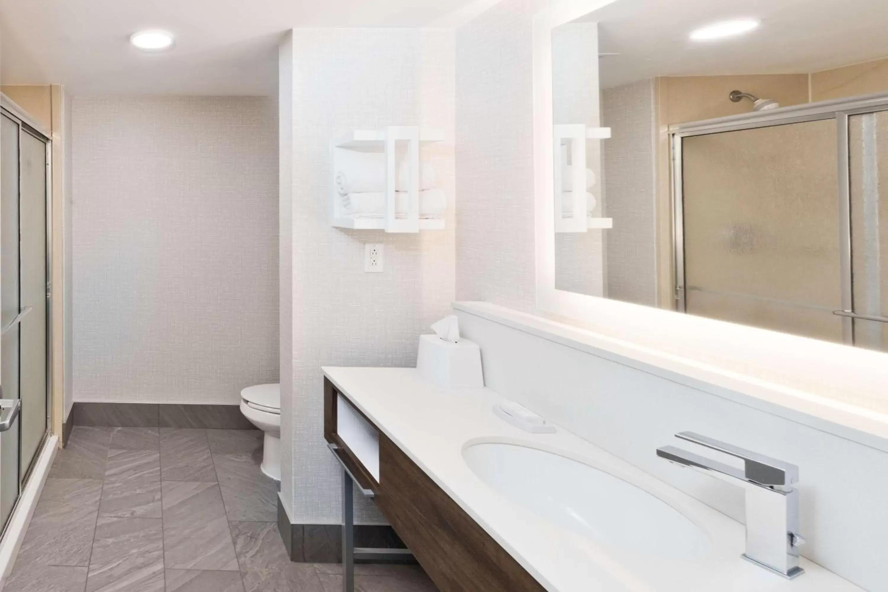 Bathroom in Hampton Inn & Suites Lanett/West Point