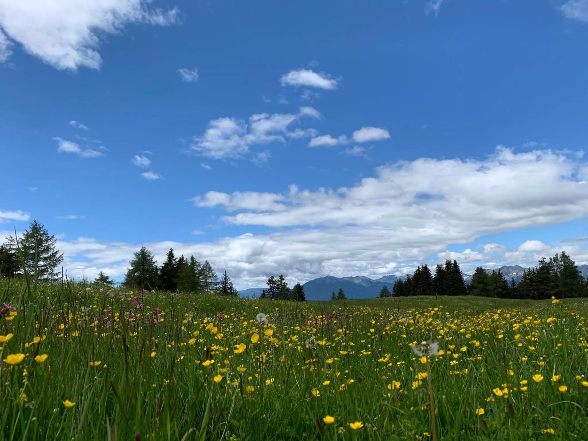 Ameiserhof Guesthouse