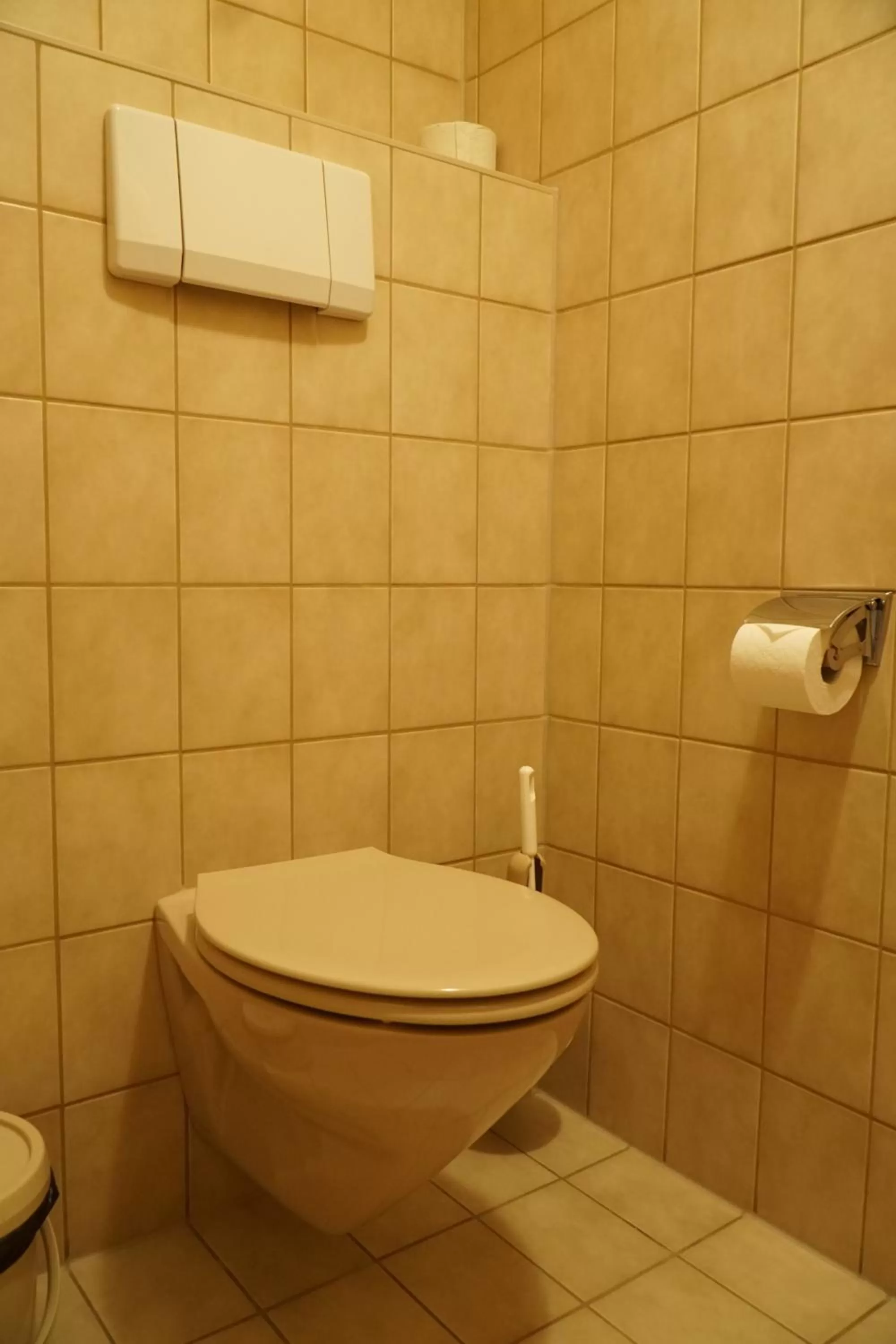 Toilet in Hotel Eleon