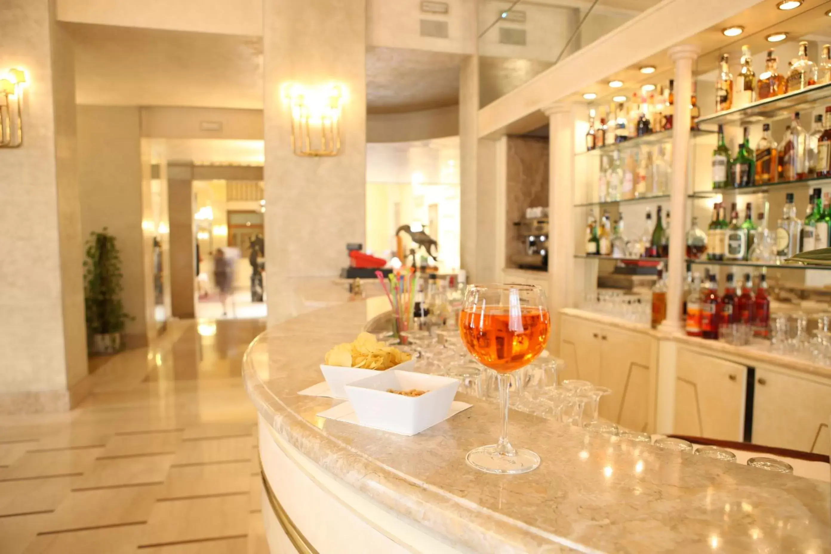 Lounge or bar, Restaurant/Places to Eat in Hotel Vittoria