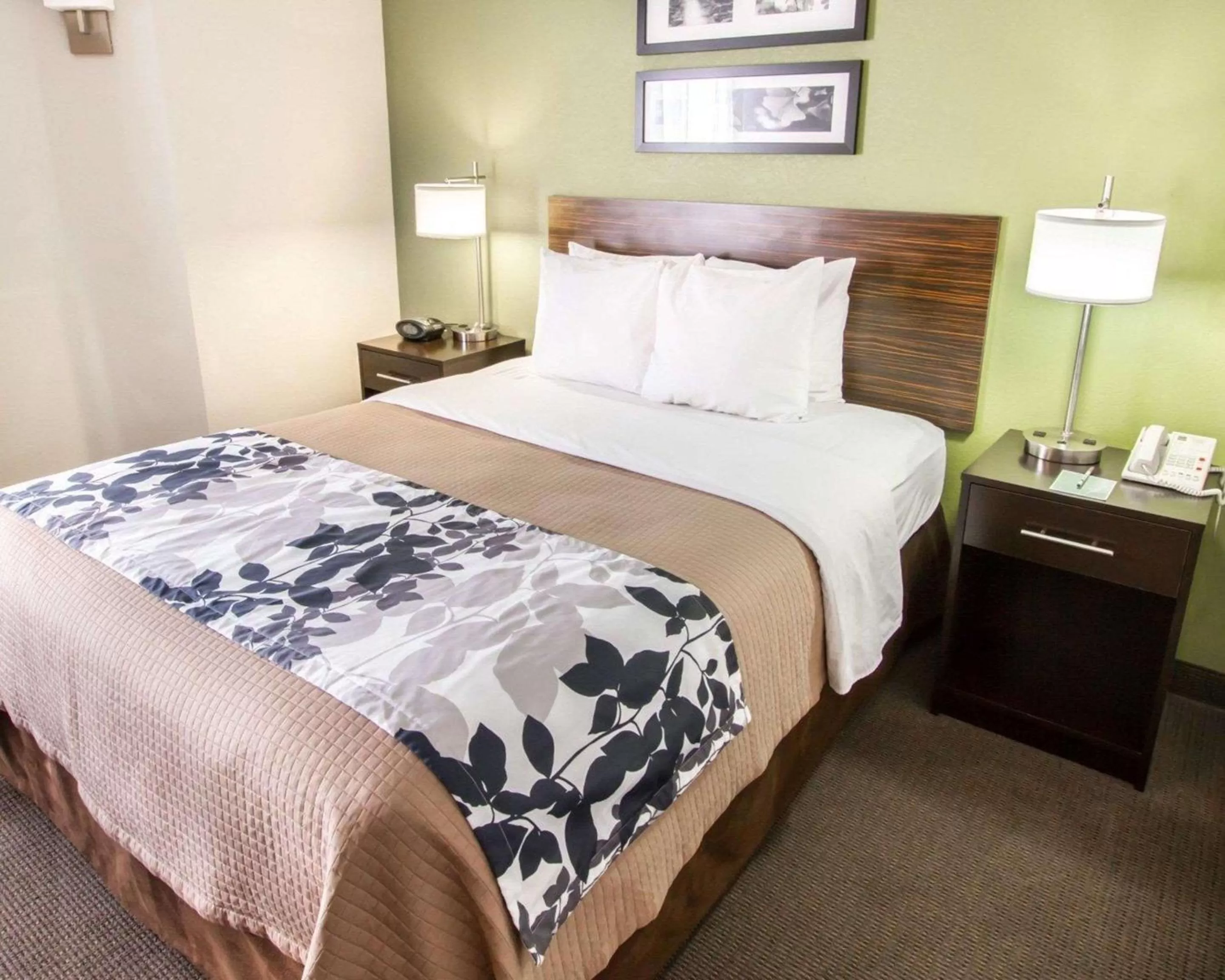 Photo of the whole room, Bed in Sleep Inn North Scottsdale near Mayo Clinic