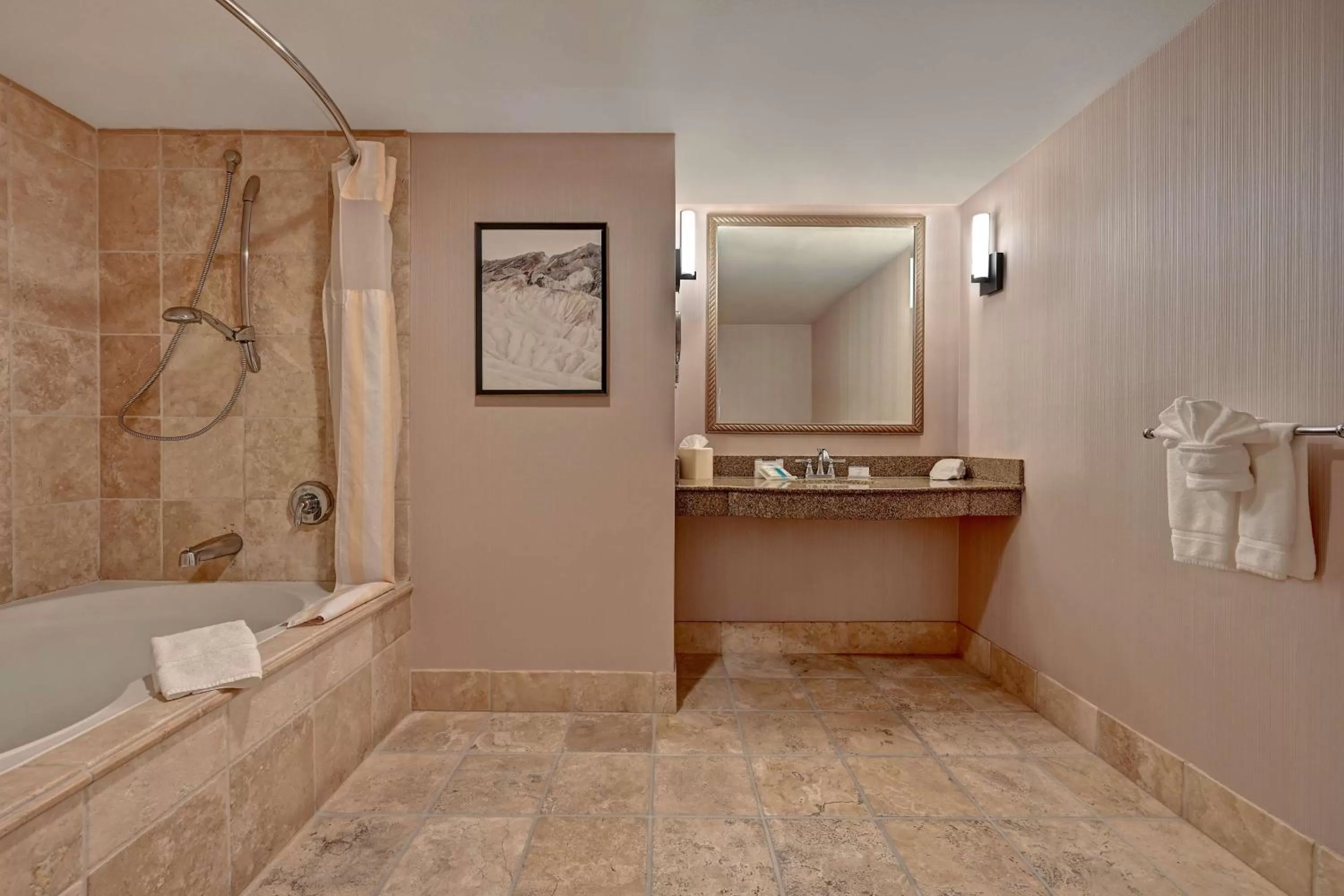 Bathroom in Hilton Garden Inn Boise / Eagle