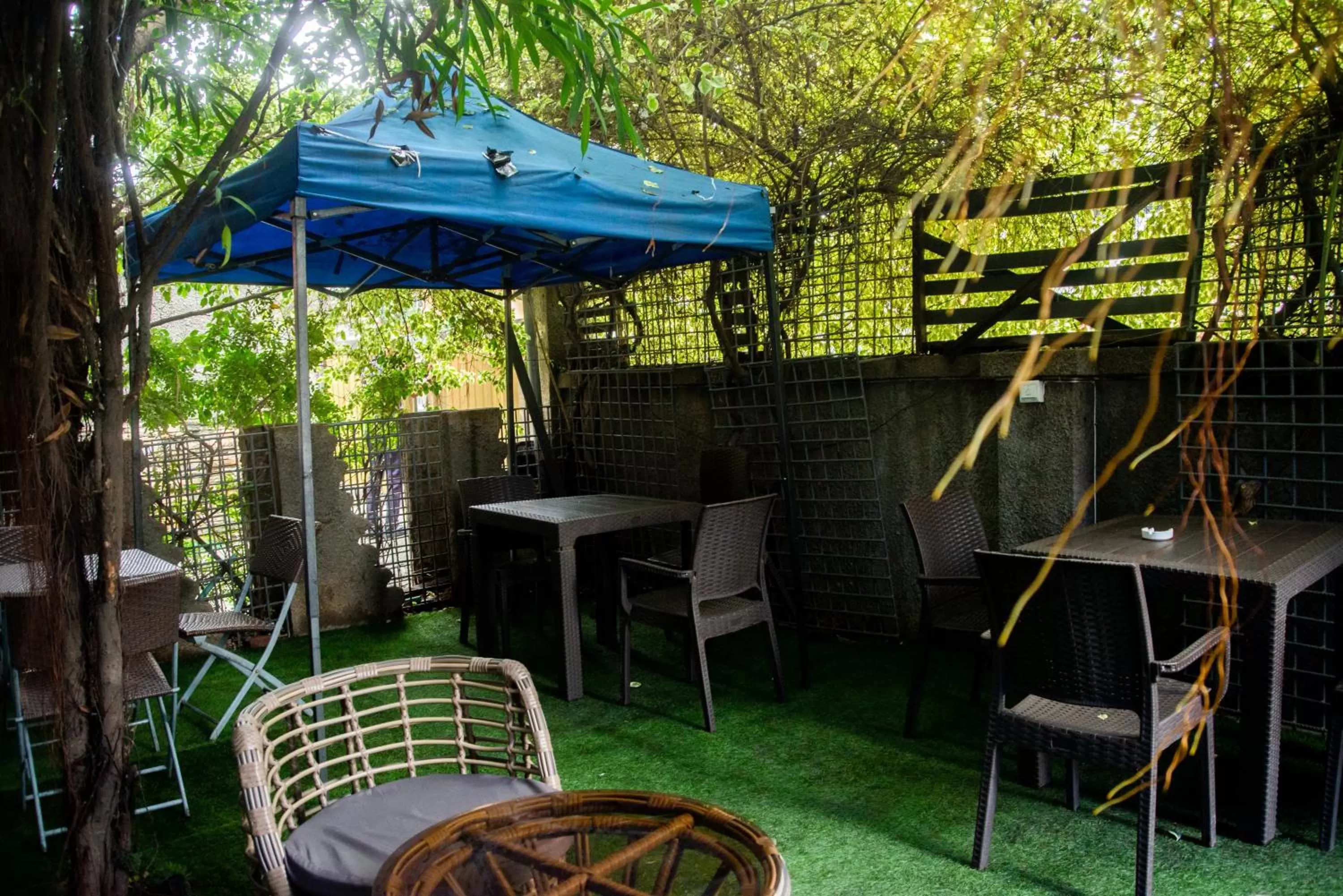 Garden in Sese Cottage