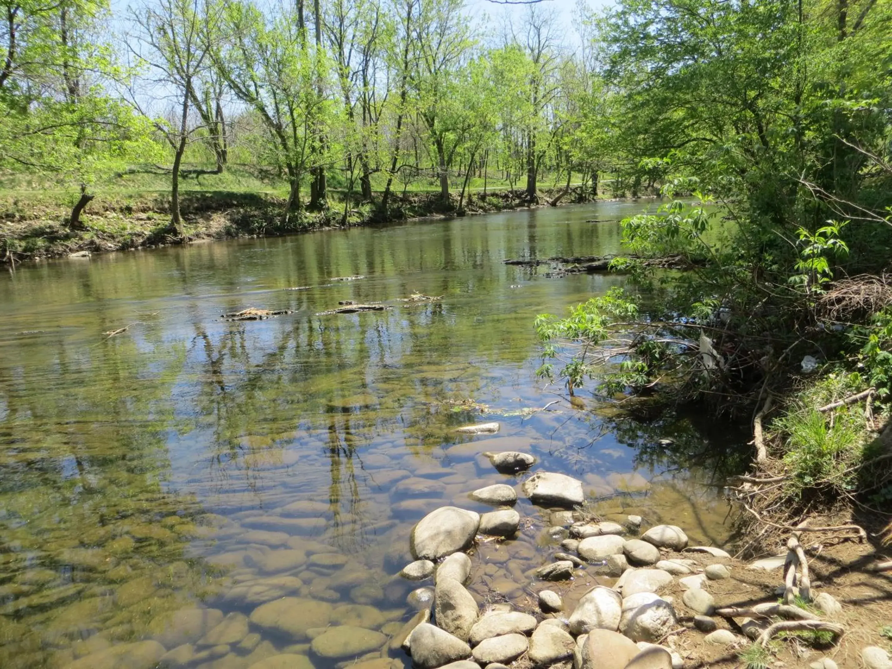 Area and facilities, Other Animals in River Place Inn