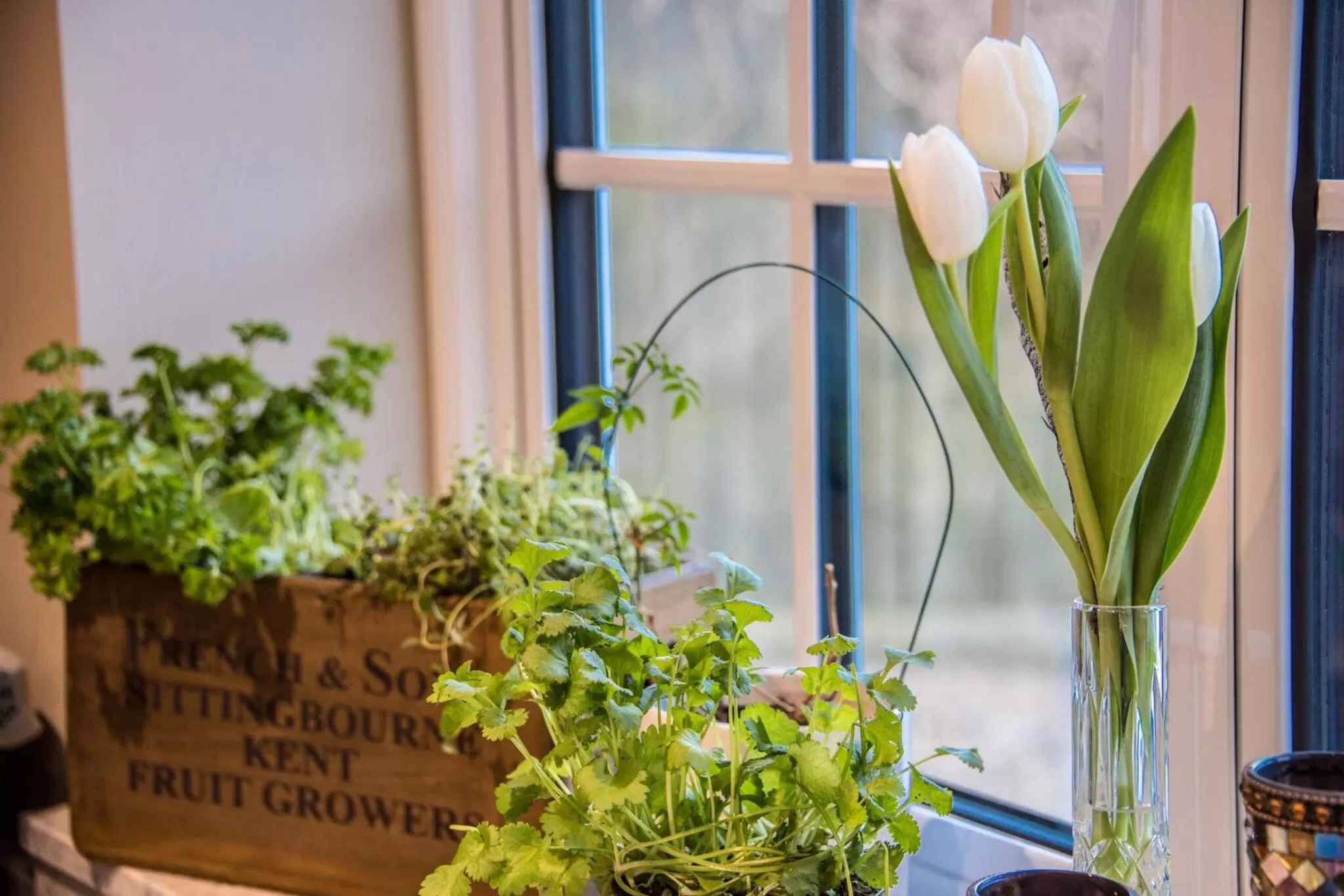 Food and drinks in St Leonards Farmhouse