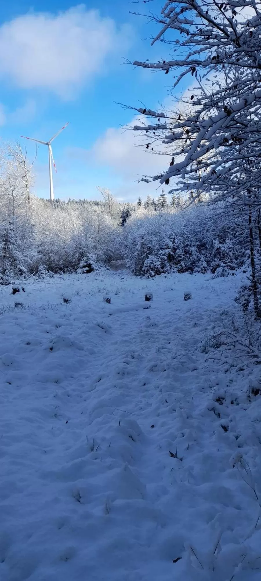 Natural landscape in Sunrise B&B Hellenthal