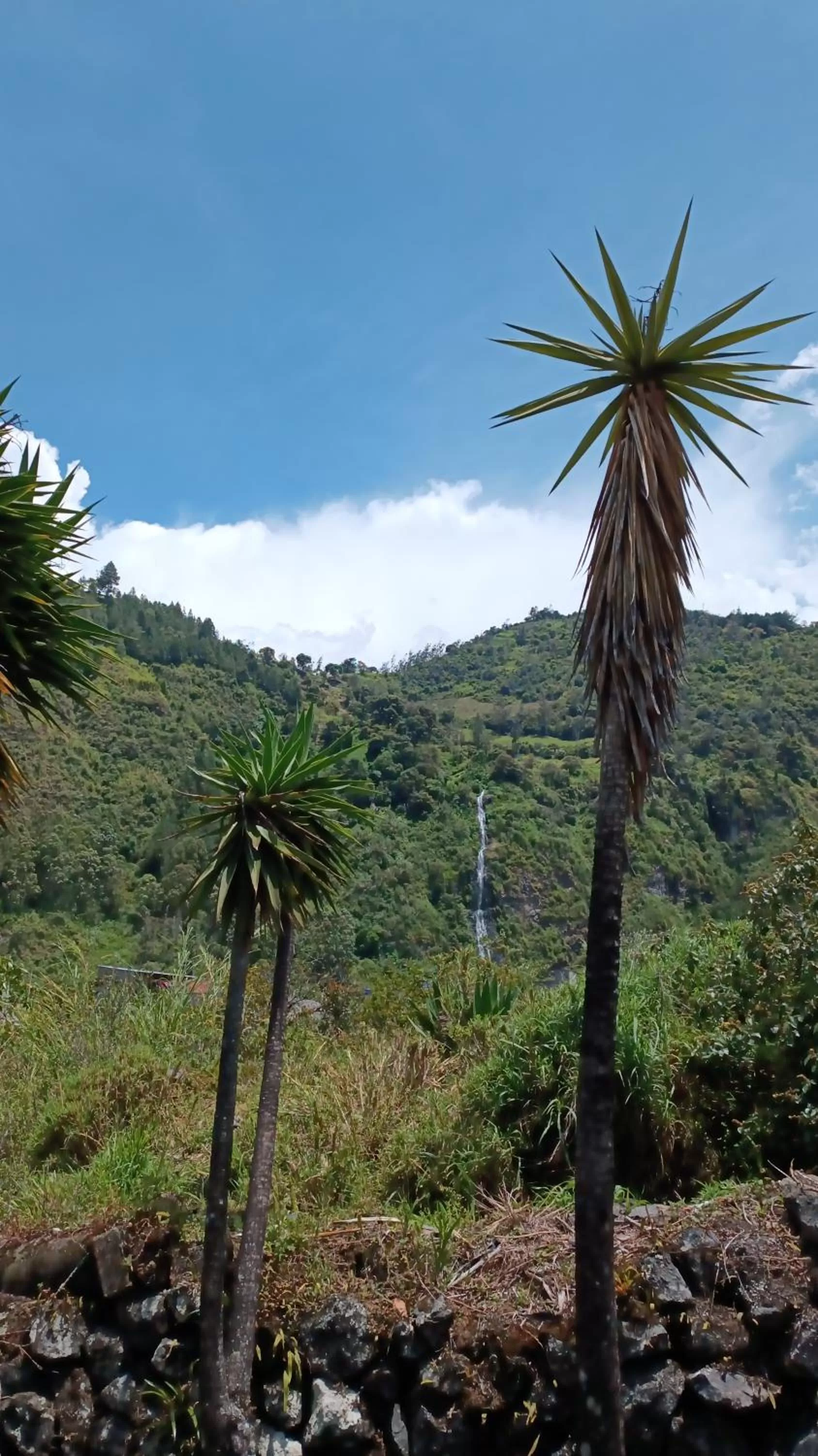 Rústic Quinta La Aurora