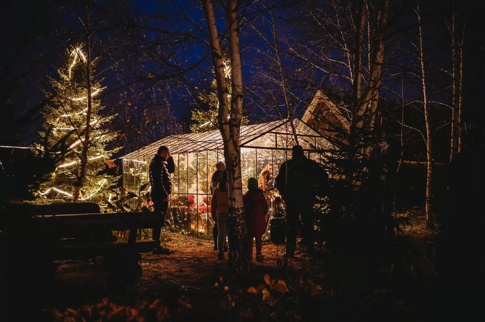 Night in Skansen Bicz Resort