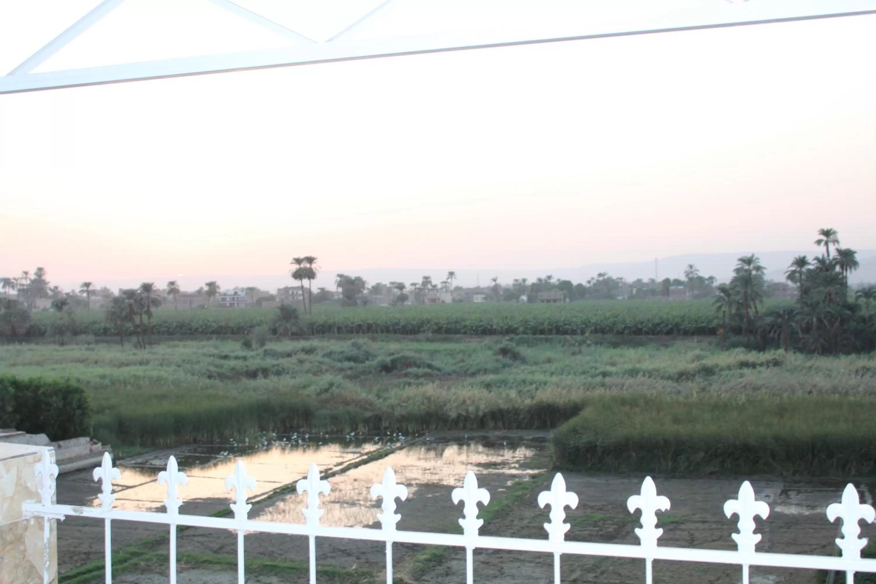 Mama Africa Apts & Studios