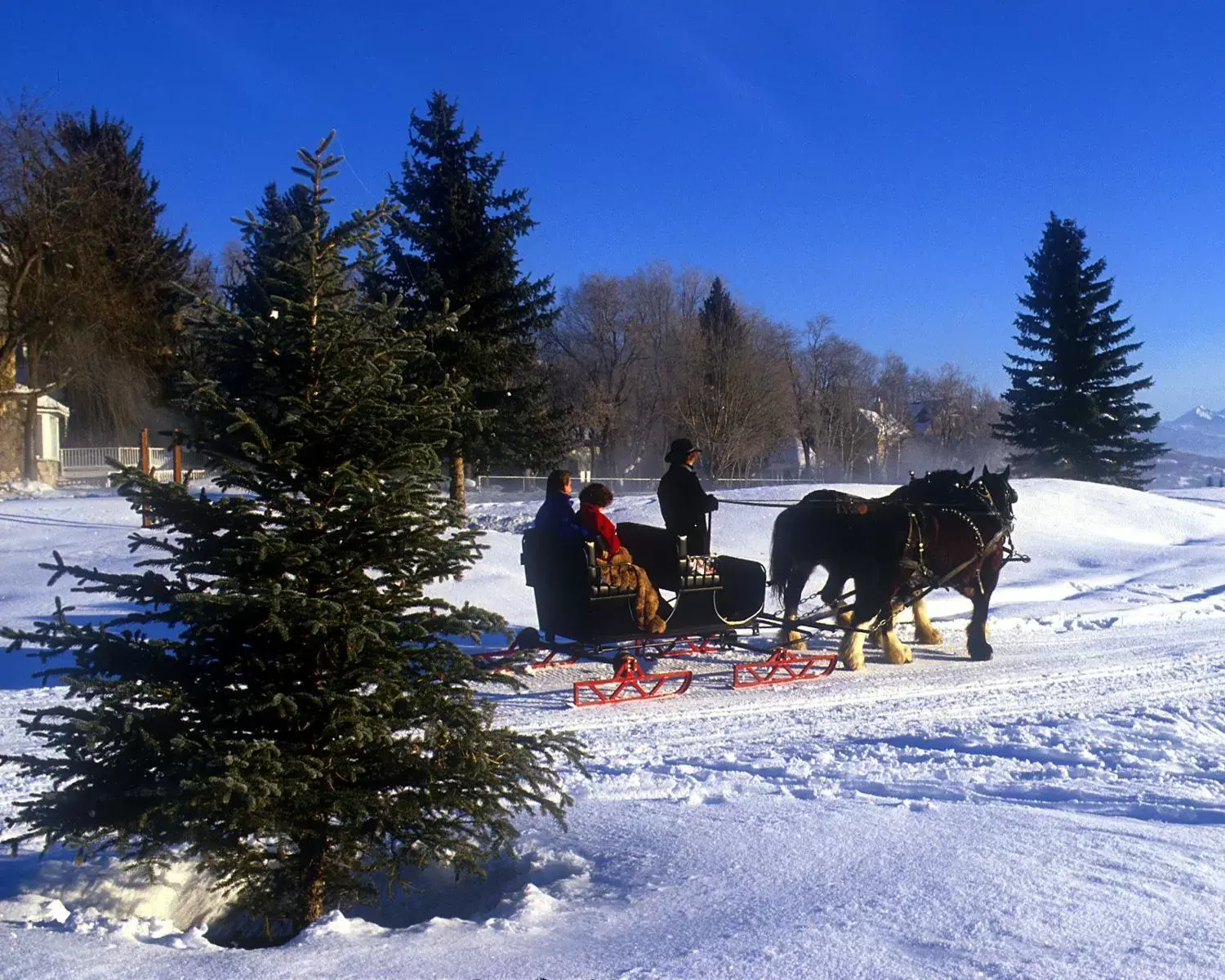 Area and facilities, Winter in Zermatt Utah Resort & Spa Trademark Collection by Wyndham