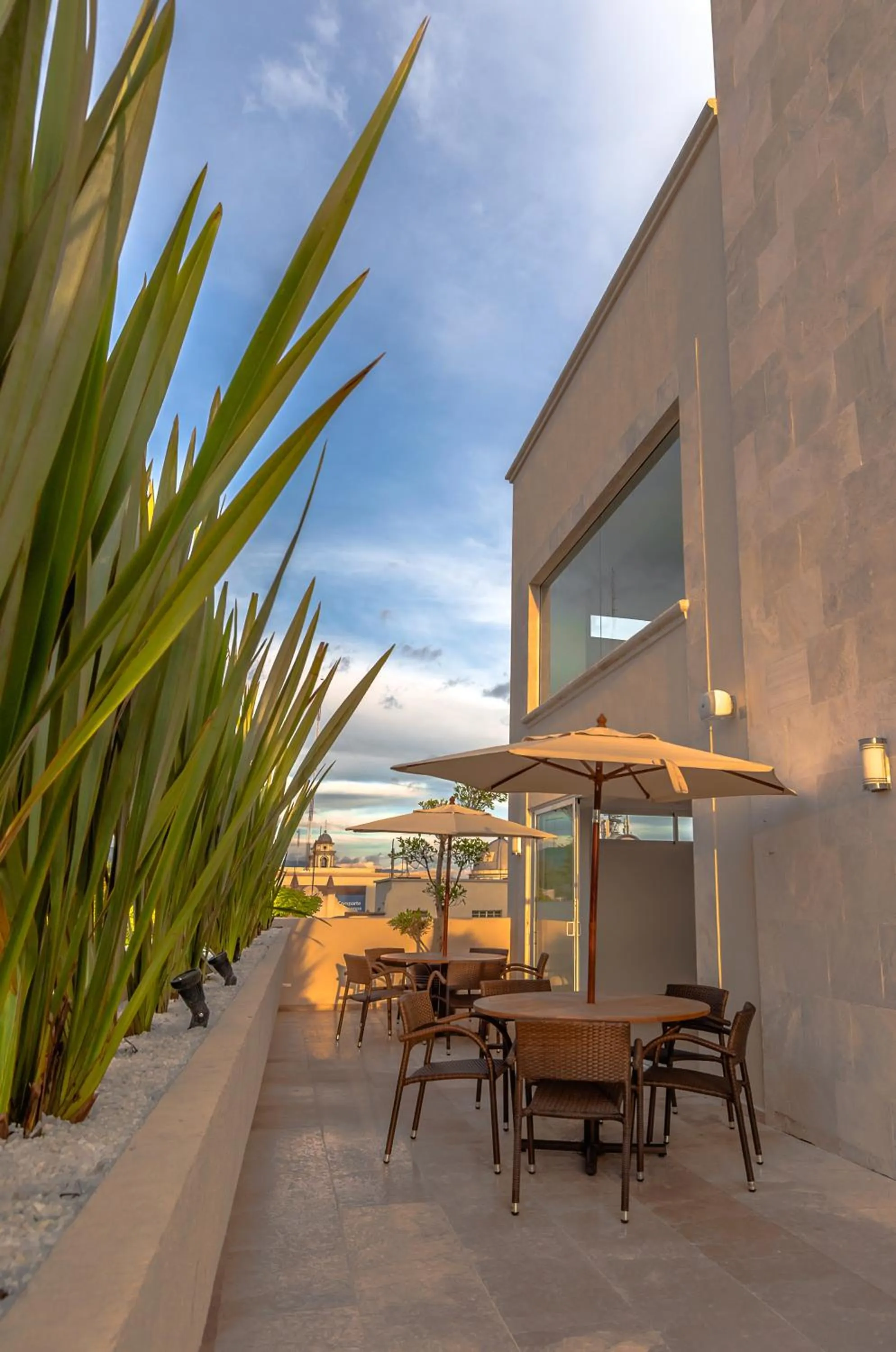 Balcony/Terrace in Hotel Zenith