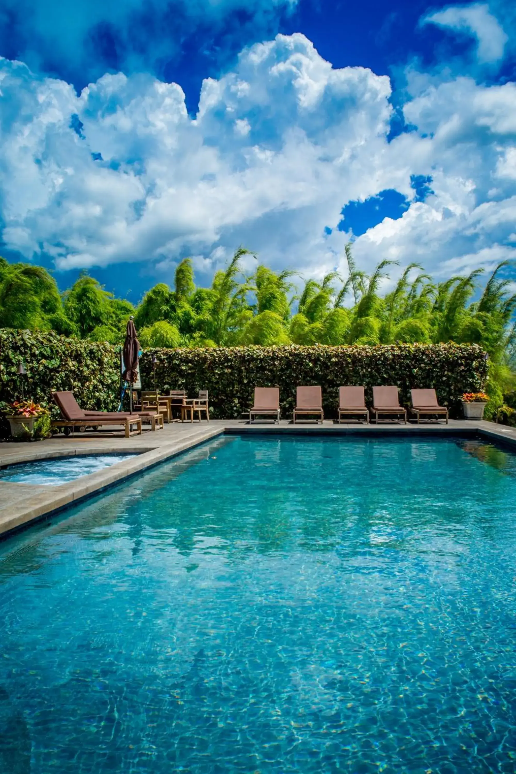 Pool view, Swimming Pool in Lumeria Maui, Educational Retreat Center