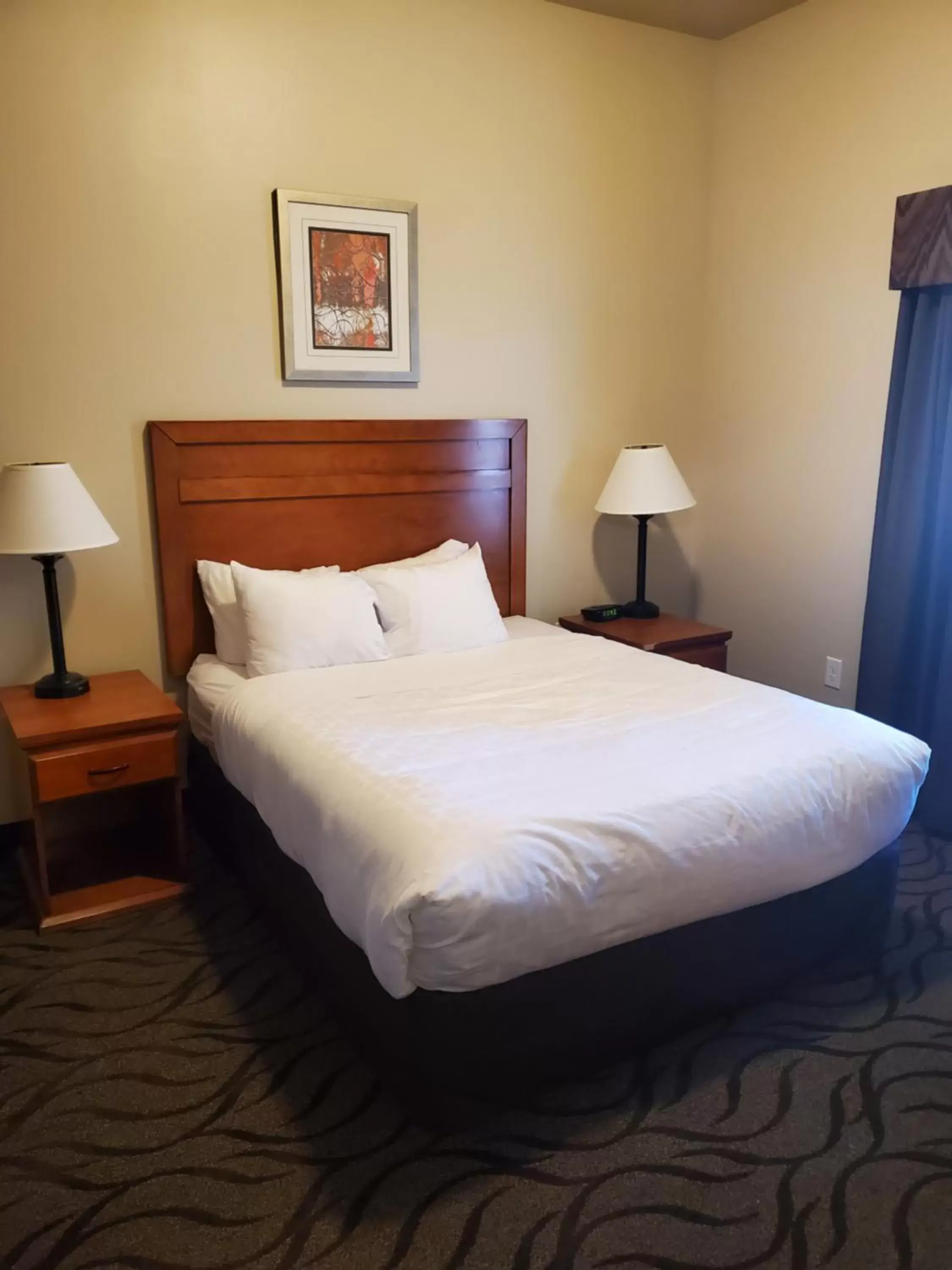 Queen Room - Non-Smoking in Clarion Hotel & Suites Near Pioneer Power Generating Station