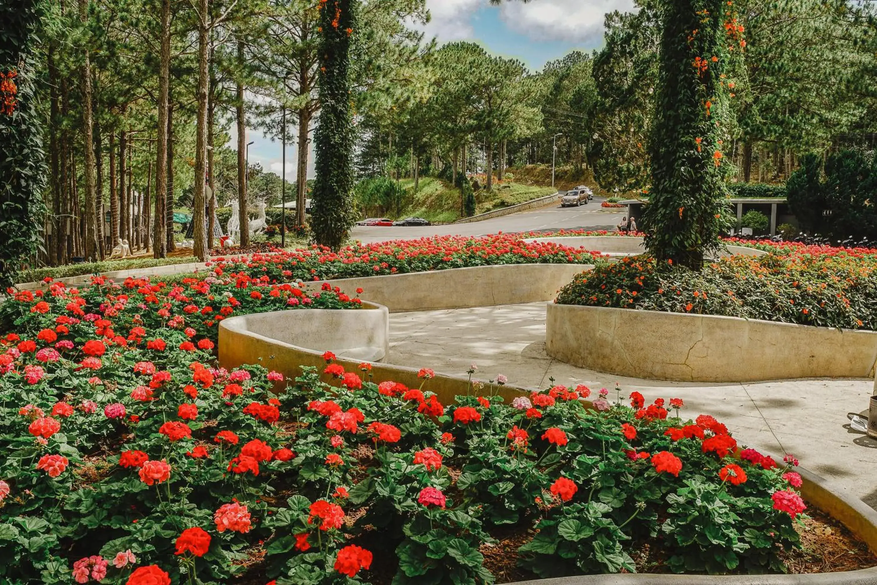 Natural landscape, Garden in Terracotta Hotel And Resort Dalat