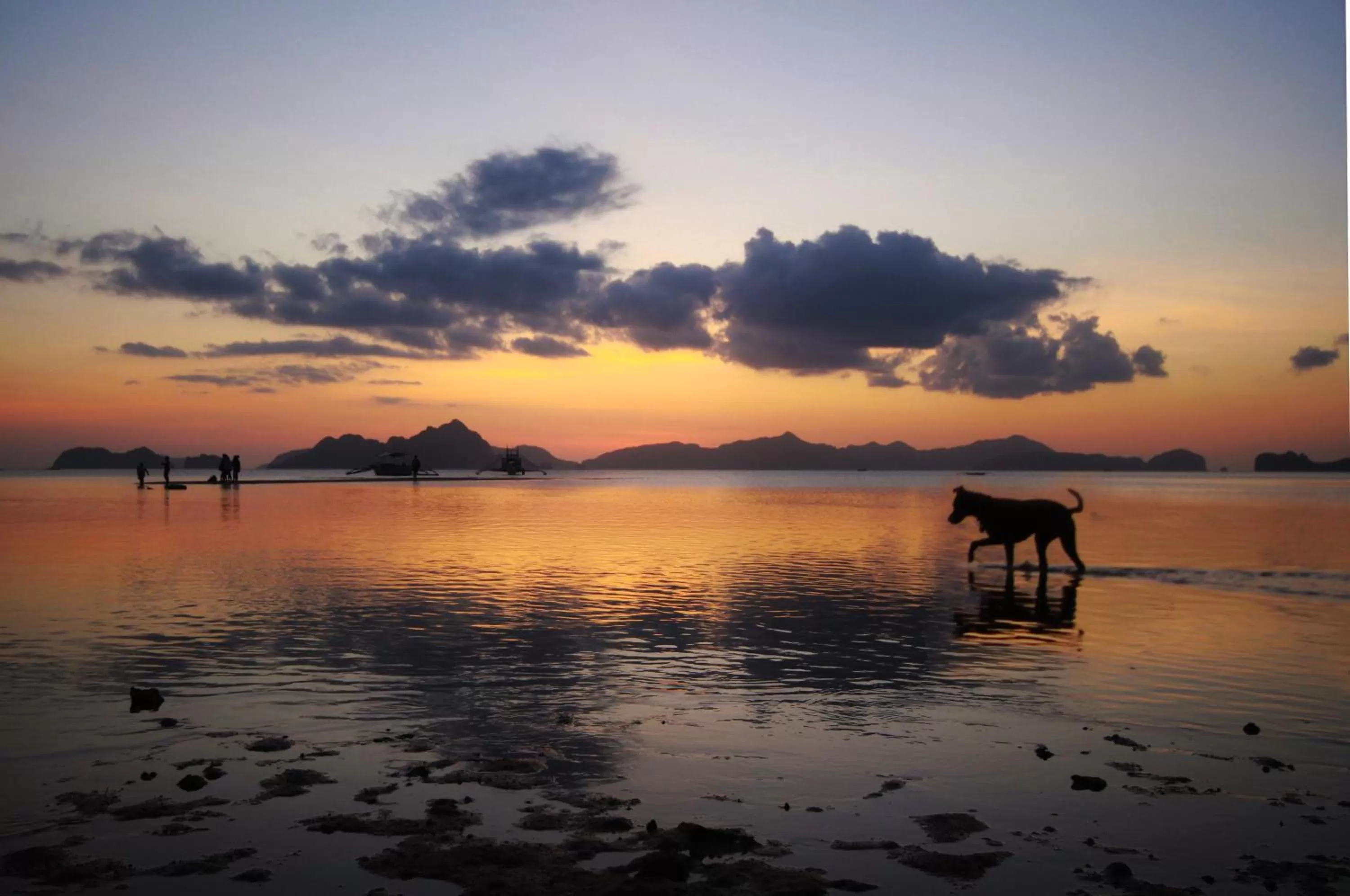 El Nido Royal Palm Inn