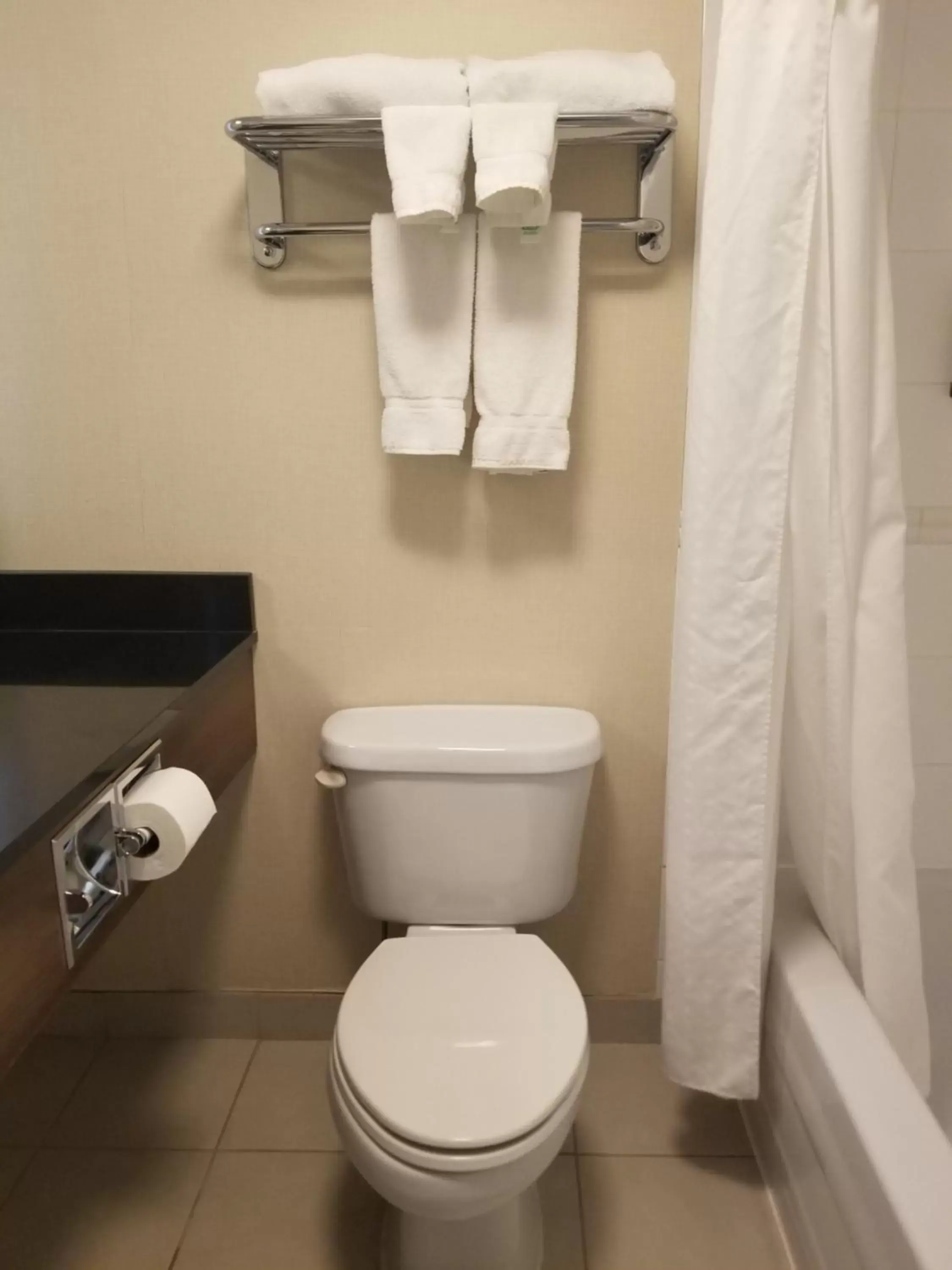 Toilet, Bathroom in Holiday Inn Express Edmonton Downtown, an IHG Hotel
